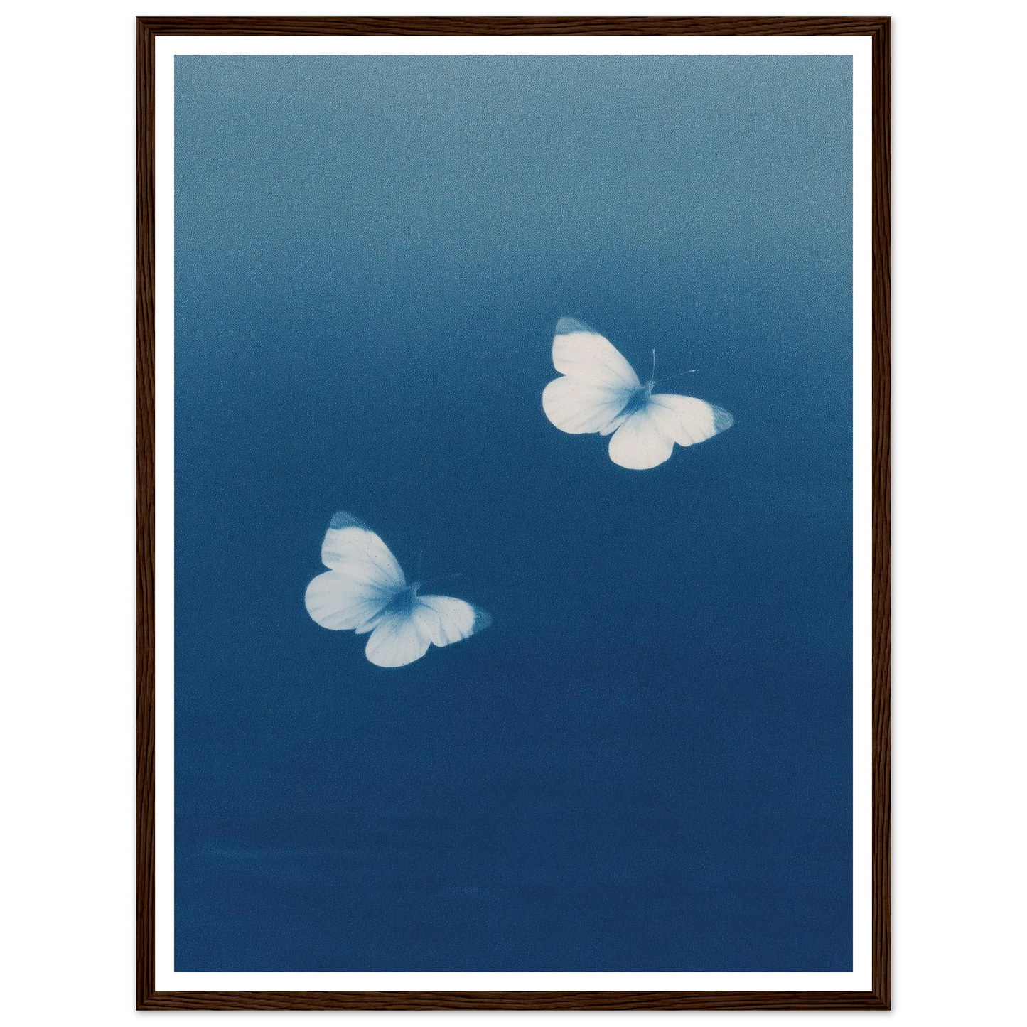 c24c5d5f-8828-49a3-aa58-273cbe88c0af