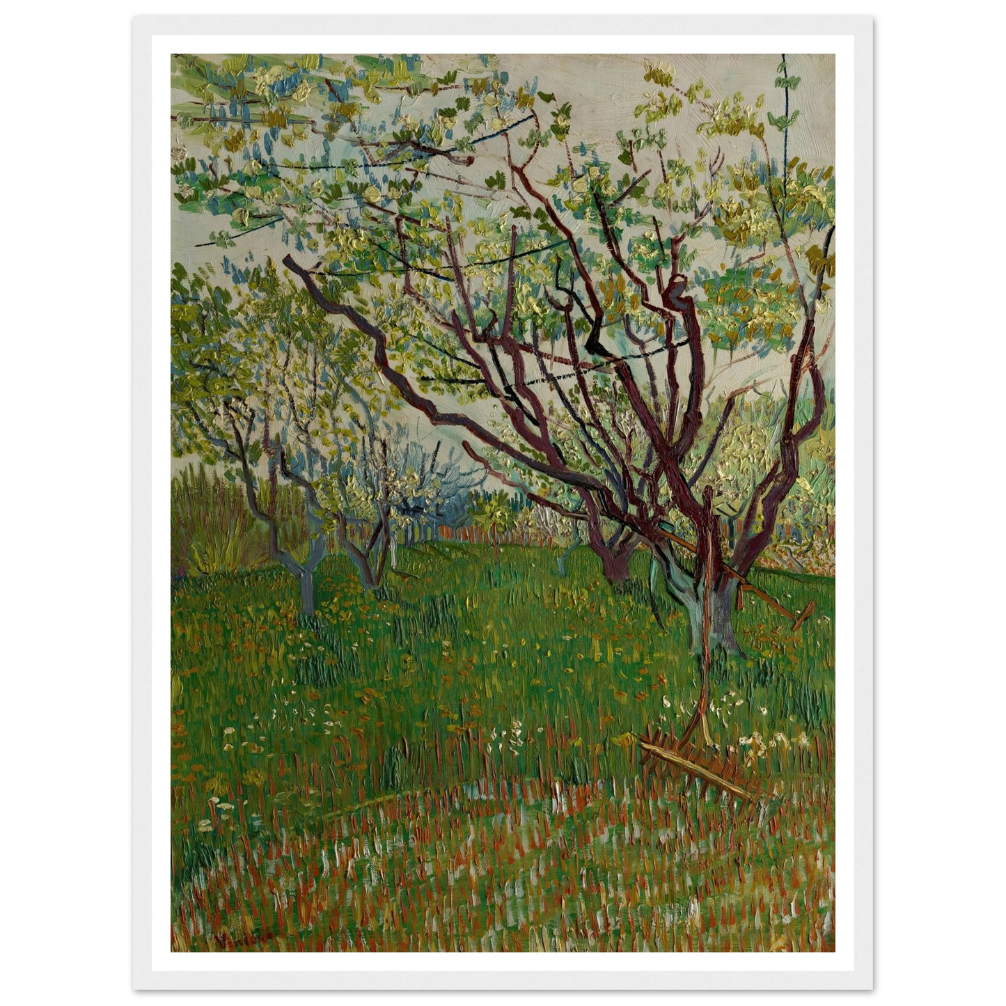 The Flowering Orchard (1888) Art Print | Vincent van Gogh-Quipham Collections