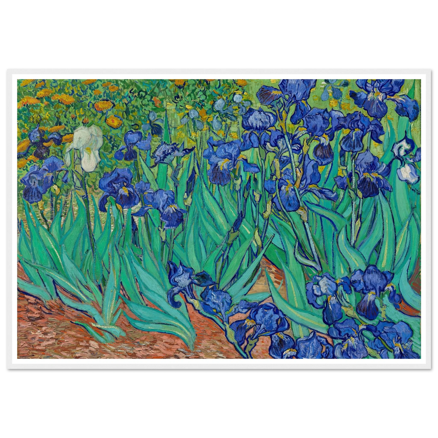 Irises (1889) Art Print | Vincent van Gogh-Quipham Collections