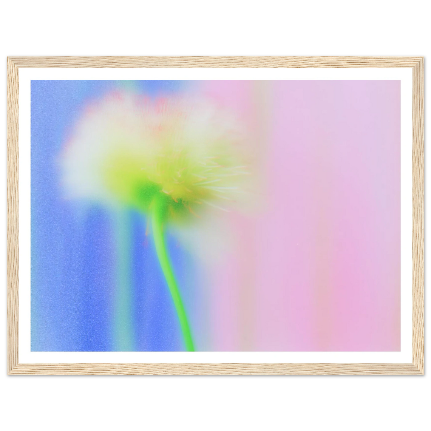 ca0258ed-cc1a-444a-ba0a-452ab05f913c