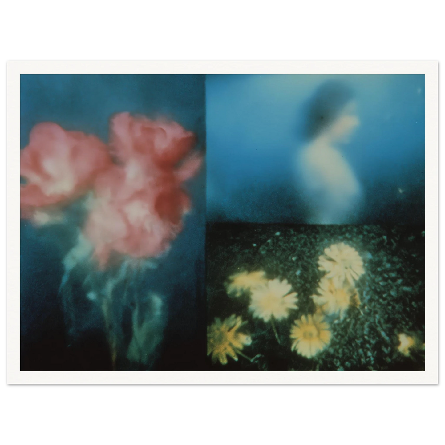 cb29203d-edd3-4be5-afe5-1eed46e02d3d