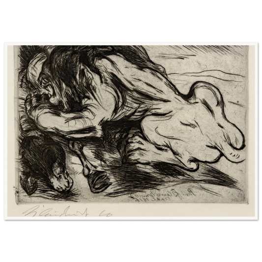 Ein Löwe reißt ein Zebu (1916) Art Print | Paul Kleinschmidt-Quipham Collections