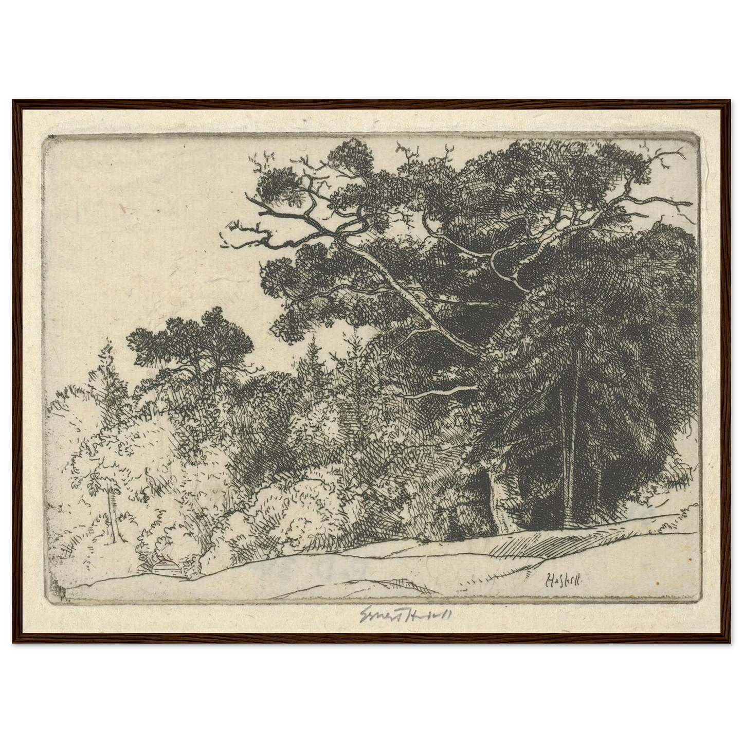 Brown’s Oak (probably 1910) Art Print | Ernest Haskell-Quipham Collections