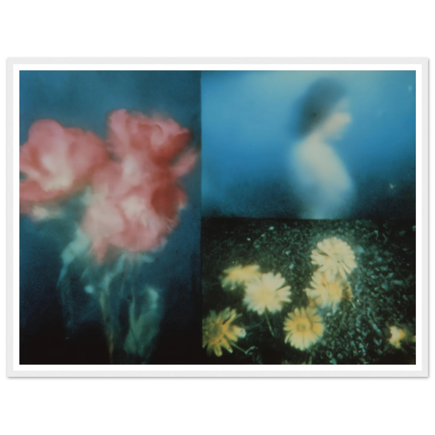 cd864d5c-4d90-4d3a-9c6d-9879649edac6