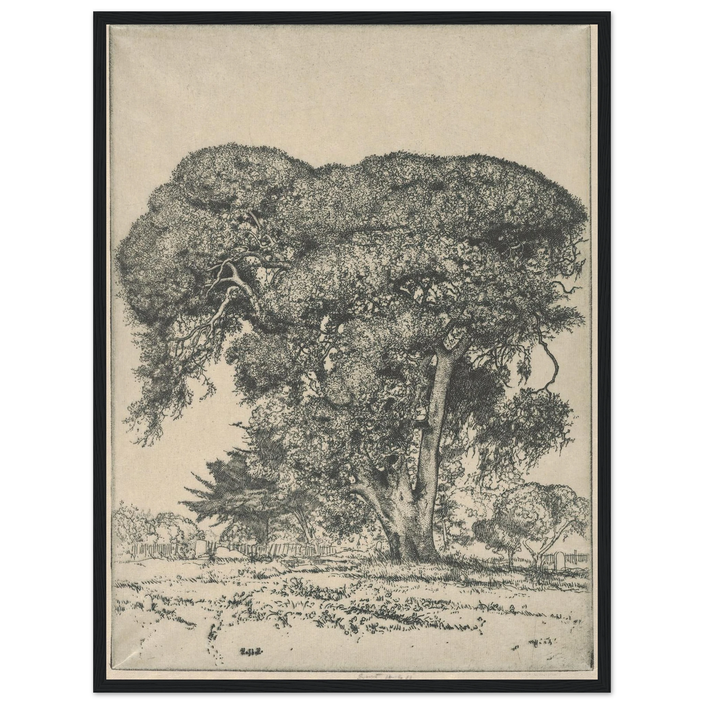 Cemetery Live Oak (1916) Art Print | Ernest Haskell - Framed Poster - 30x40 cm / 12x16″ - Black frame
