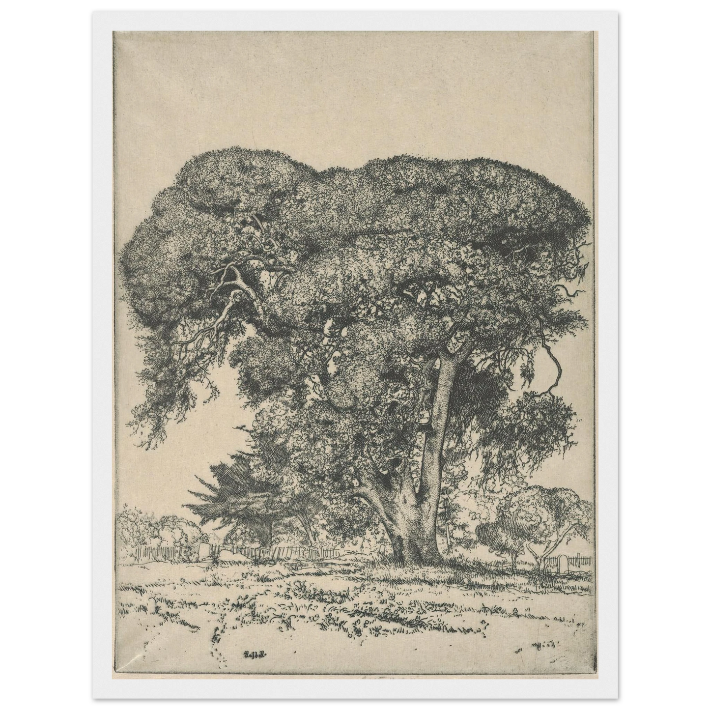 Cemetery Live Oak (1916) Art Print | Ernest Haskell - Framed Poster - 30x40 cm / 12x16″ - Black frame
