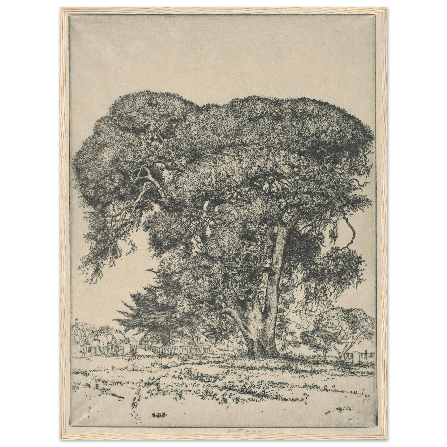 Cemetery Live Oak (1916) Art Print | Ernest Haskell - Framed Poster - 30x40 cm / 12x16″ - Black frame