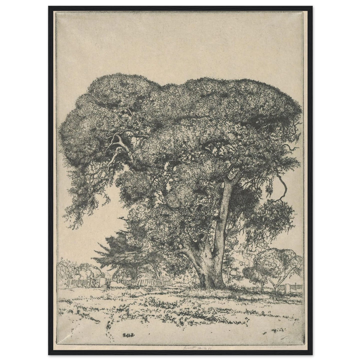 Cemetery Live Oak (1916) Art Print | Ernest Haskell - Framed Poster - 30x40 cm / 12x16″ - Black frame