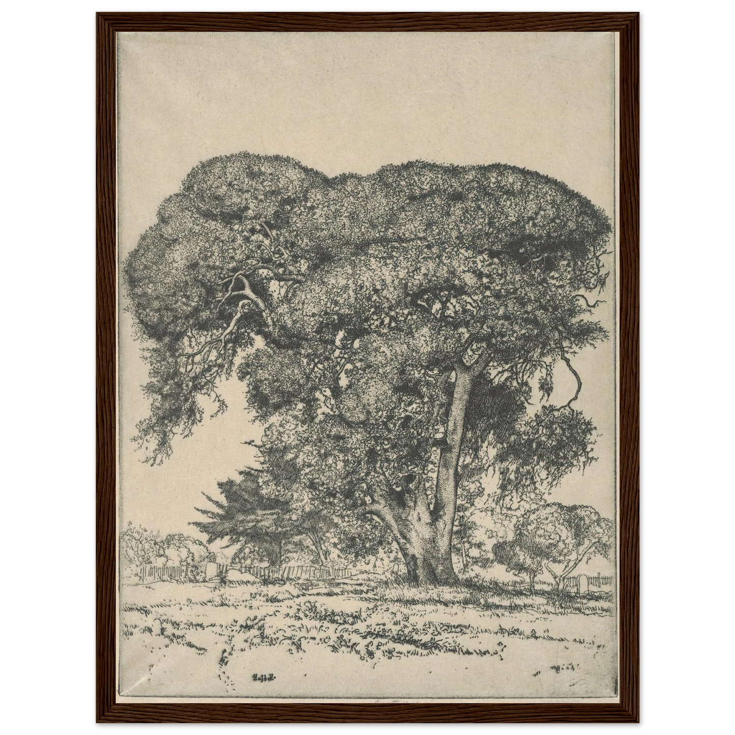 Cemetery Live Oak (1916) Art Print | Ernest Haskell - Framed Poster - 30x40 cm / 12x16″ - Black frame