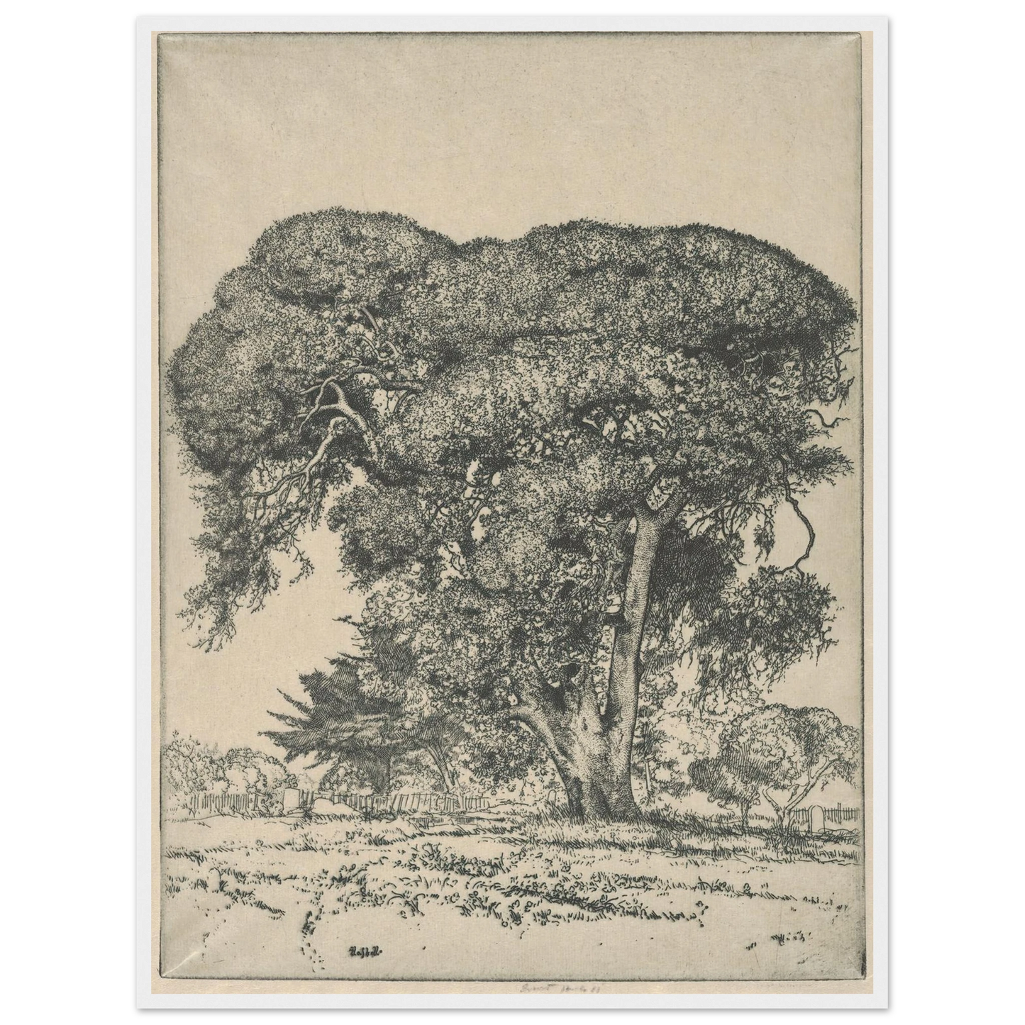 Cemetery Live Oak (1916) Art Print | Ernest Haskell - Framed Poster - 30x40 cm / 12x16″ - Black frame