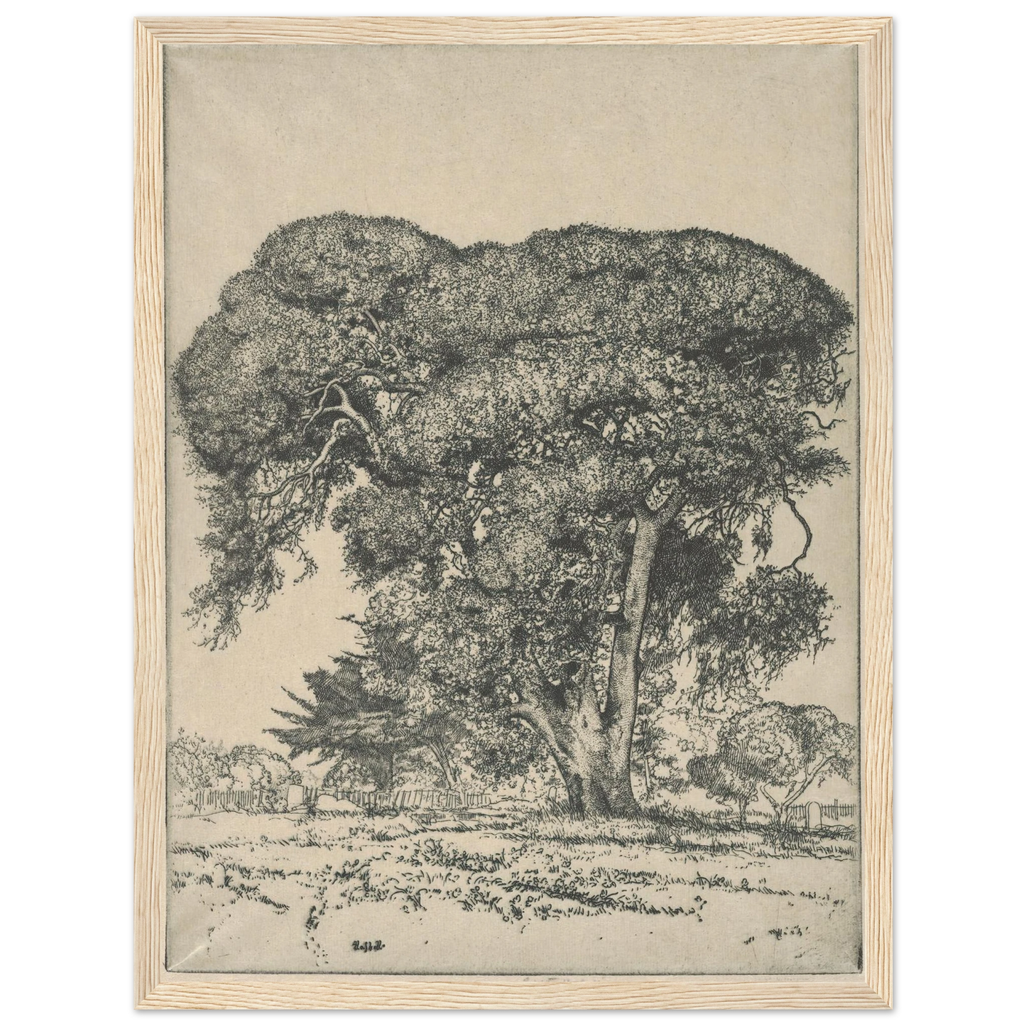 Cemetery Live Oak (1916) Art Print | Ernest Haskell - Framed Poster - 30x40 cm / 12x16″ - Black frame