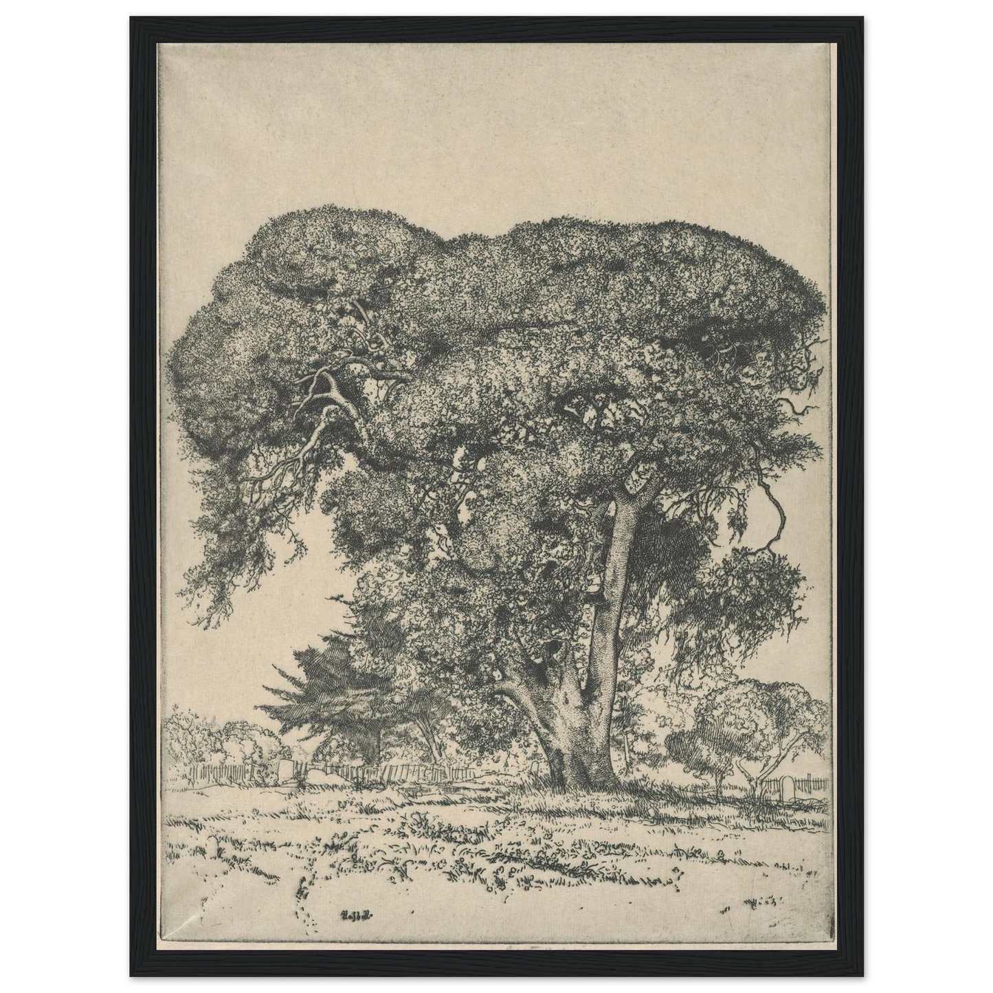 Cemetery Live Oak (1916) Art Print | Ernest Haskell - Framed Poster - 30x40 cm / 12x16″ - Black frame
