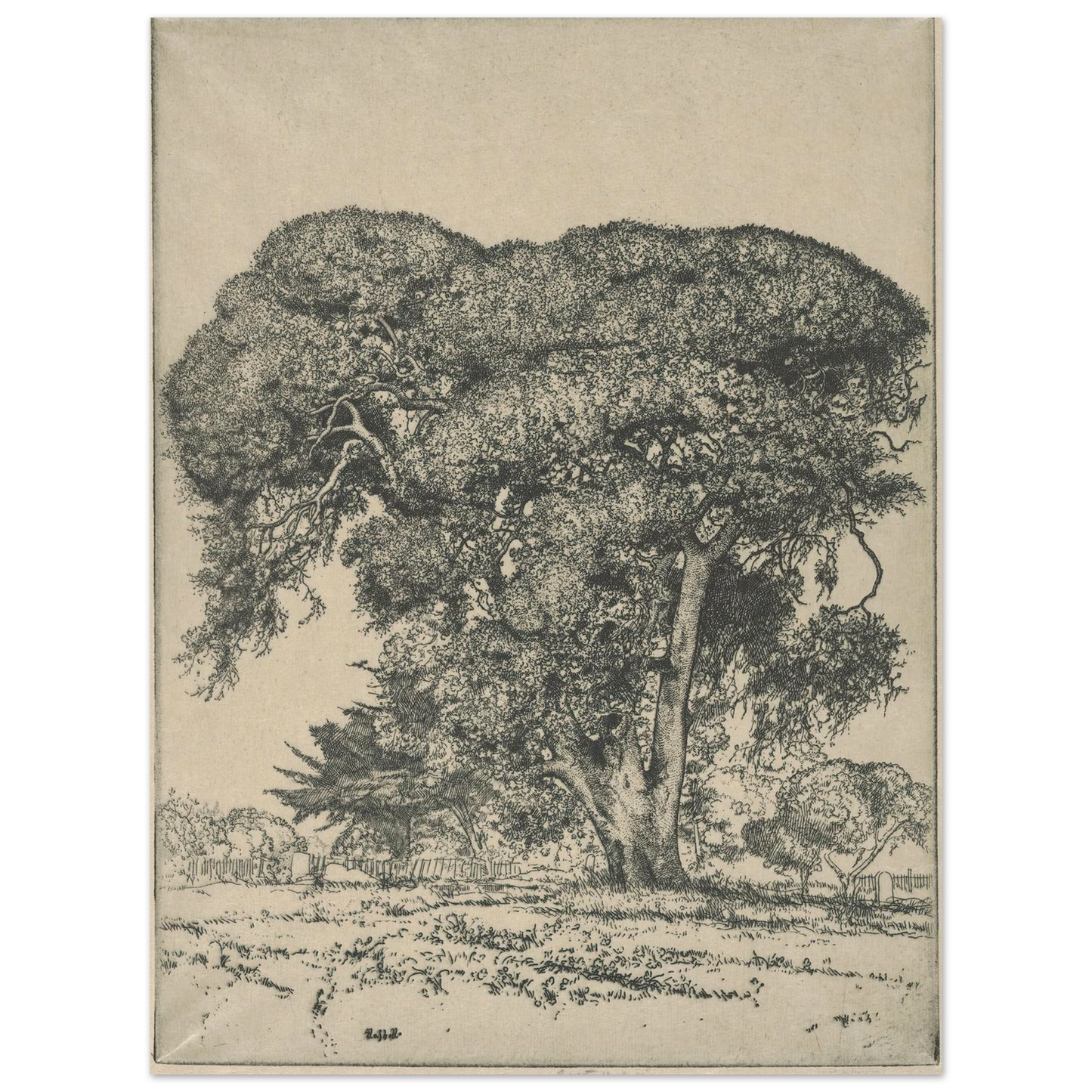 Cemetery Live Oak (1916) Art Print | Ernest Haskell - Framed Poster - 30x40 cm / 12x16″ - Black frame