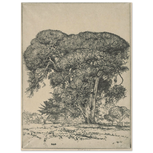 Cemetery Live Oak (1916) Art Print | Ernest Haskell - Framed Poster - 30x40 cm / 12x16″ - Black frame