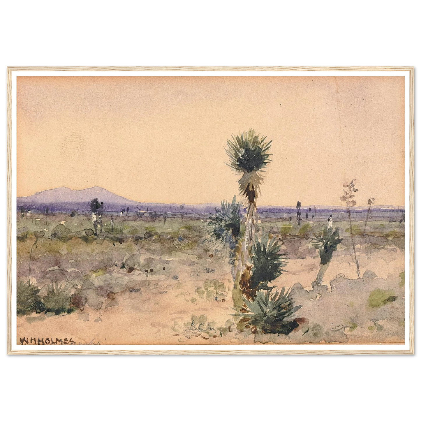 Yuccaland–Chihuahua, Mexico Art Print | William Henry Holmes-Quipham Collections