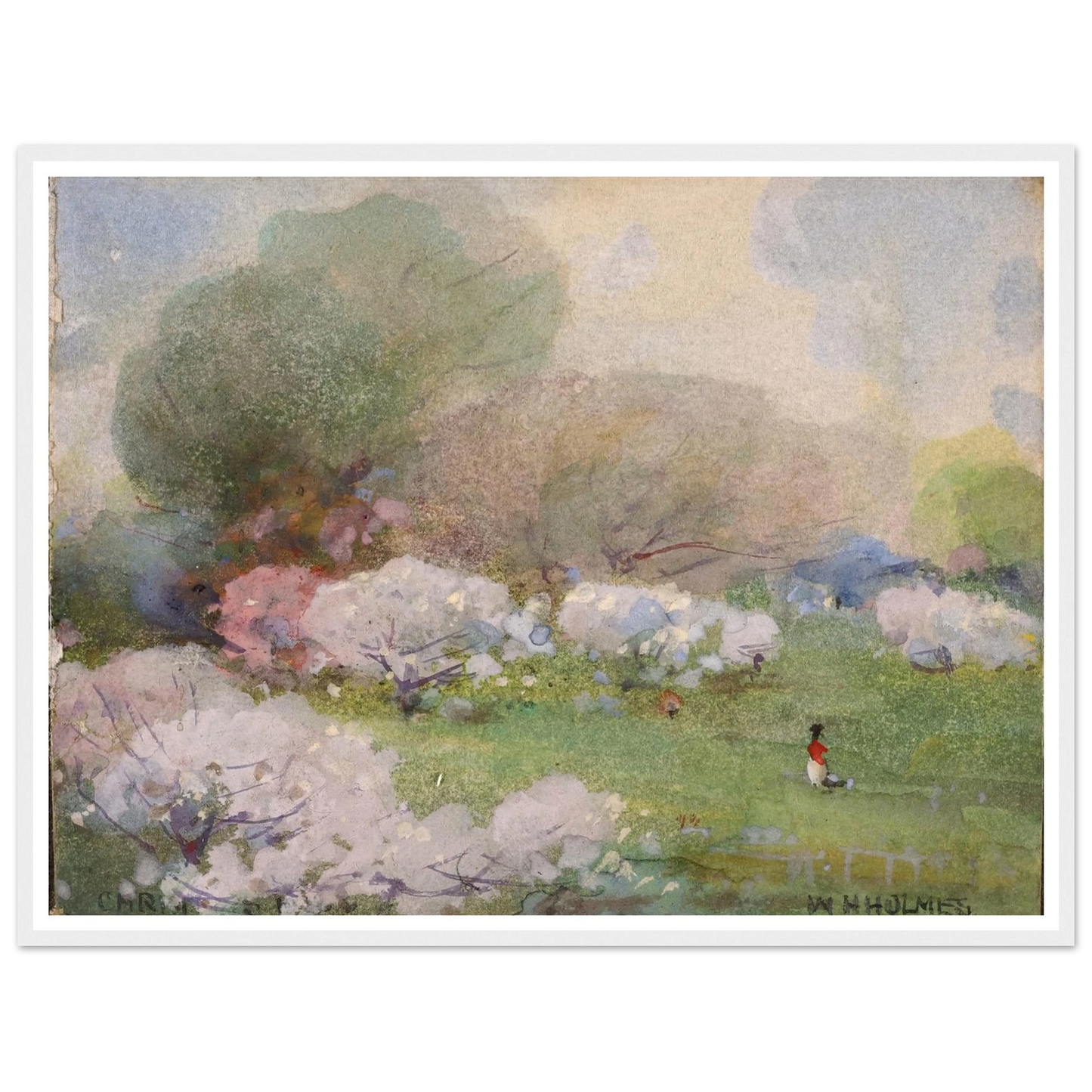 Cherry Blossoms Art Print | William Henry Holmes - Framed Poster - 30x40 cm / 12x16″ - Black frame