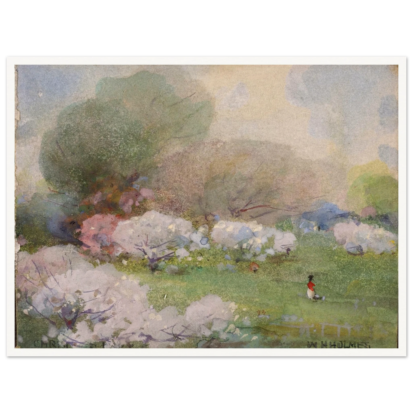 Cherry Blossoms Art Print | William Henry Holmes - Framed Poster - 30x40 cm / 12x16″ - Black frame