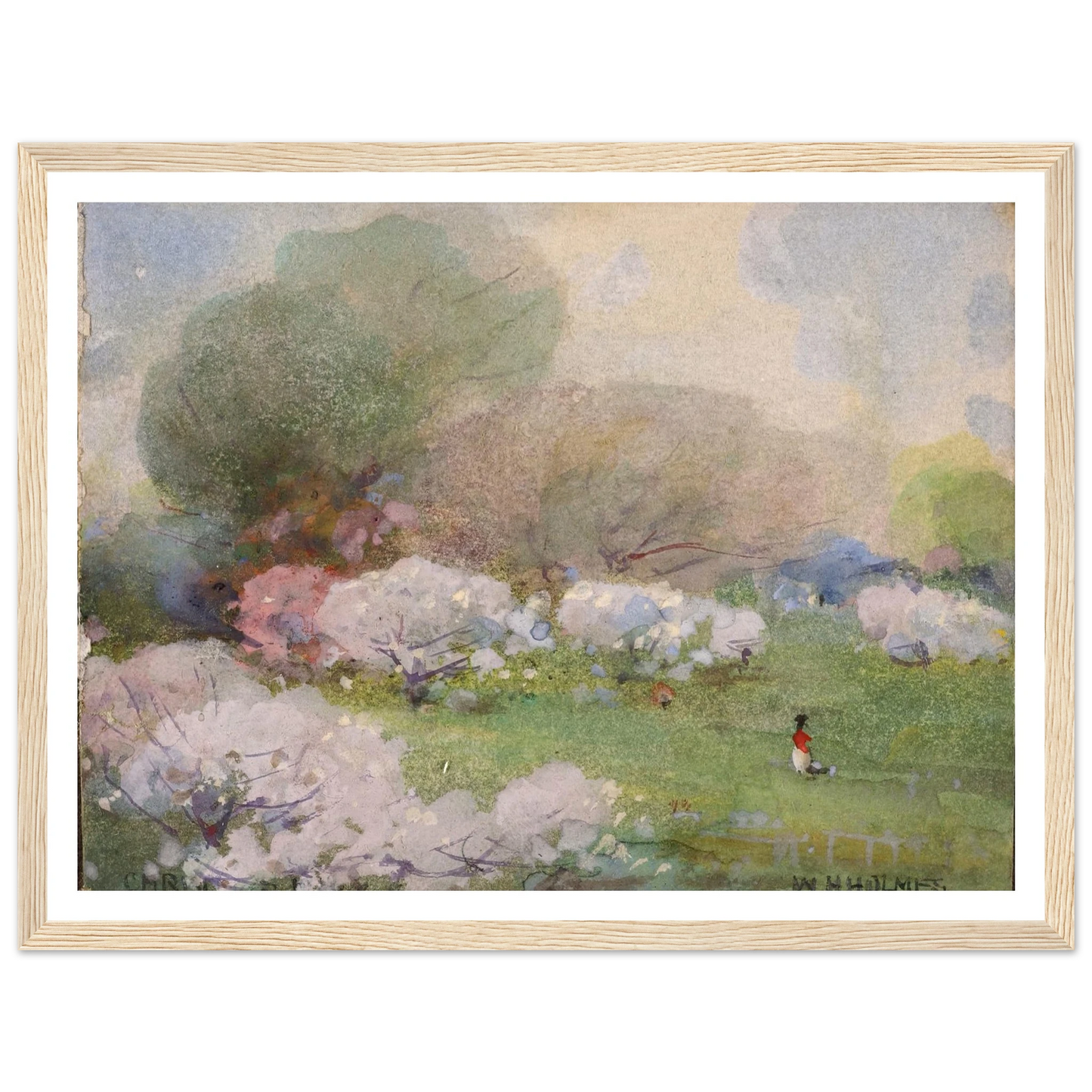 Cherry Blossoms Art Print | William Henry Holmes - Framed Poster - 30x40 cm / 12x16″ - Black frame