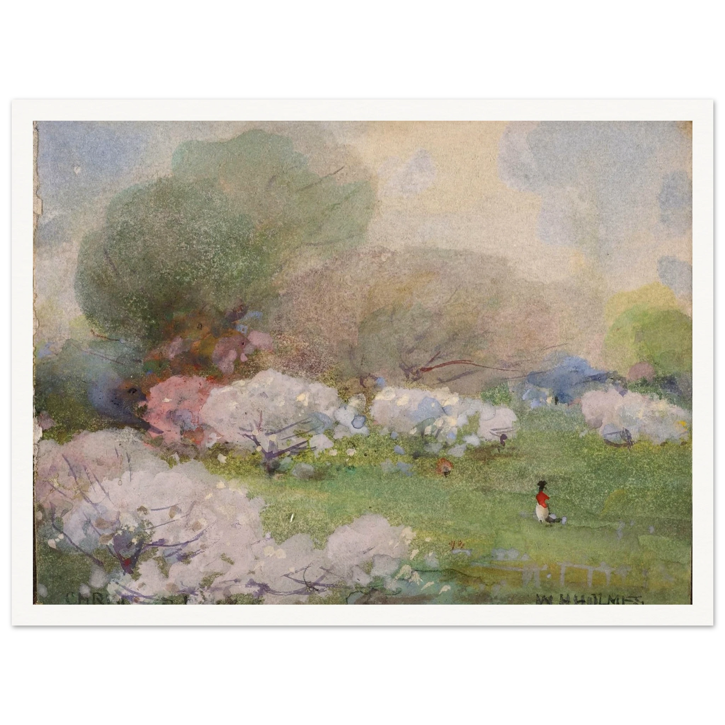 Cherry Blossoms Art Print | William Henry Holmes - Framed Poster - 30x40 cm / 12x16″ - Black frame