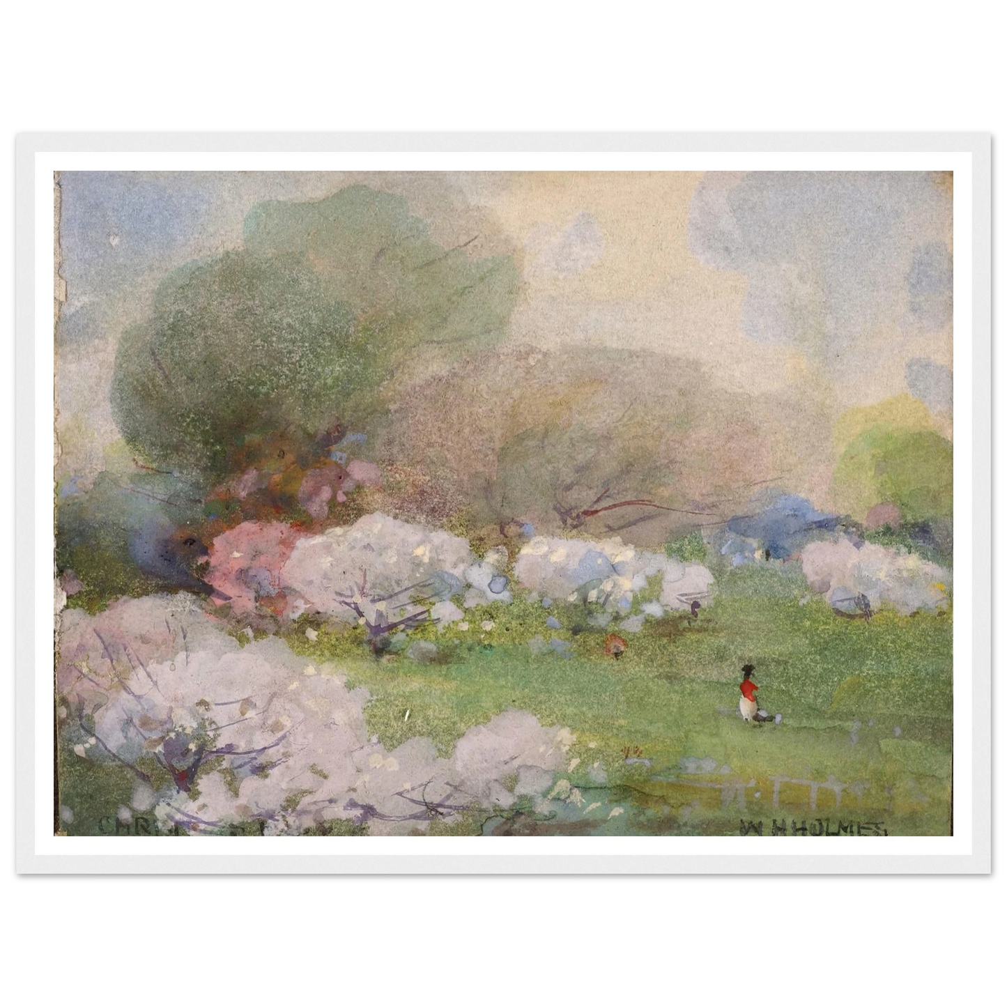 Cherry Blossoms Art Print | William Henry Holmes - Framed Poster - 30x40 cm / 12x16″ - Black frame