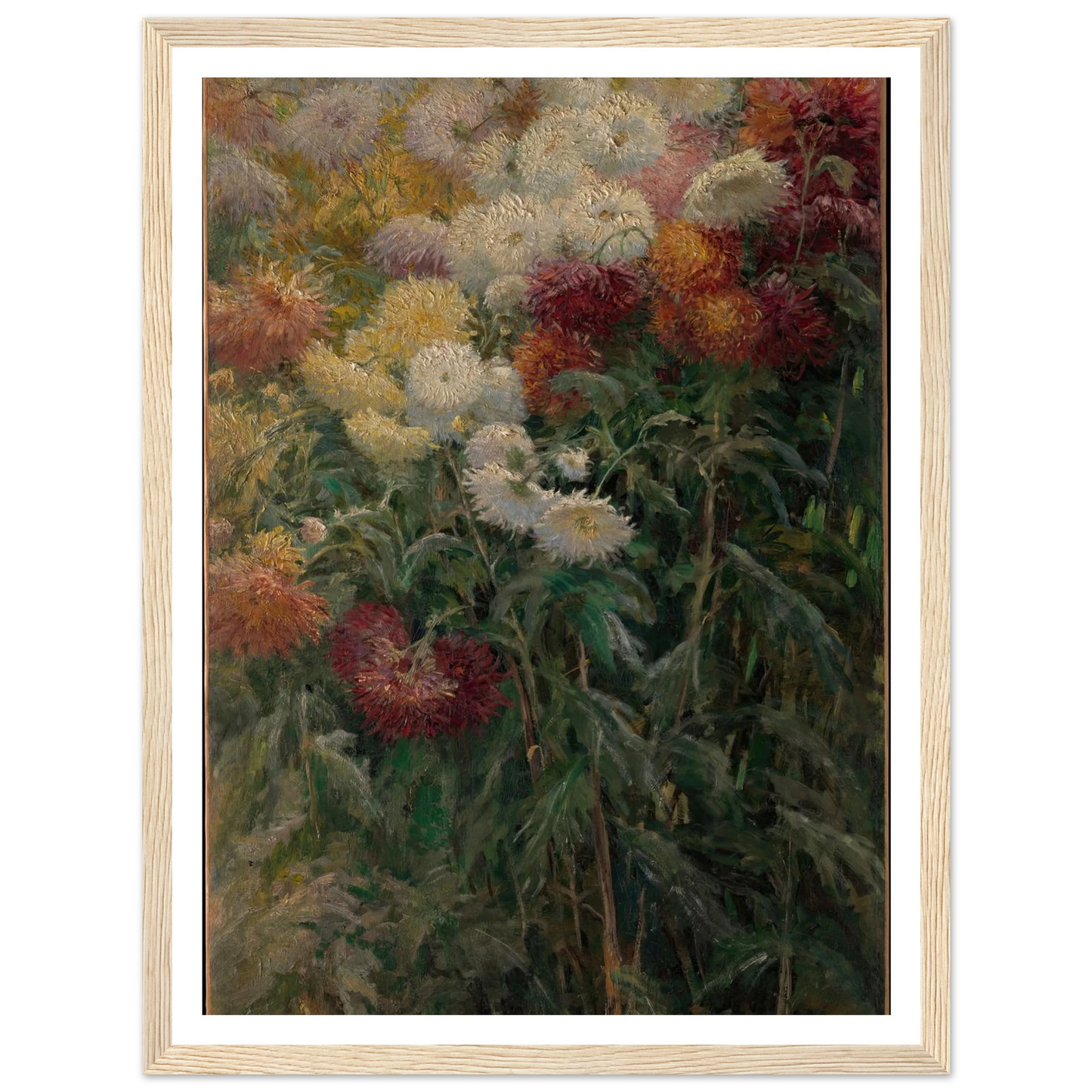 Chrysanthemums in the Garden at Petit-Gennevilliers (1893) Art Print | Gustave Caillebotte - Framed Poster - 30x40 cm / 12x16″ - Black frame