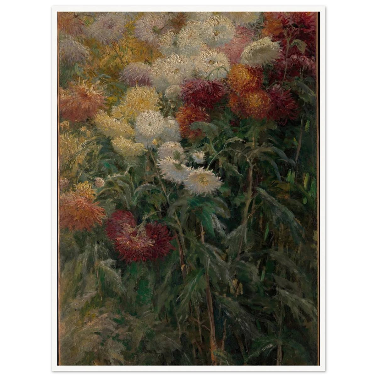 Chrysanthemums in the Garden at Petit-Gennevilliers (1893) Art Print | Gustave Caillebotte - Framed Poster - 30x40 cm / 12x16″ - Black frame