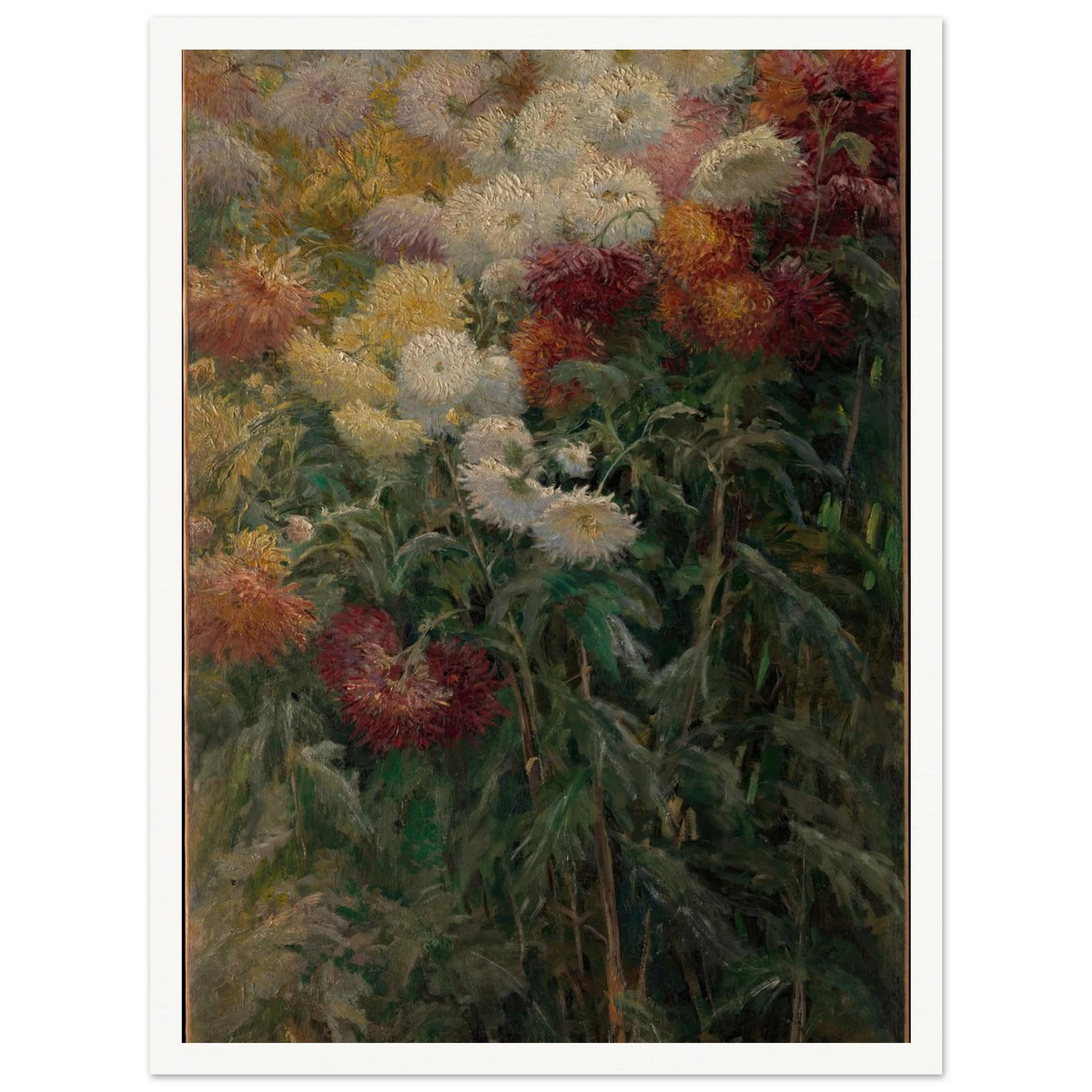 Chrysanthemums in the Garden at Petit-Gennevilliers (1893) Art Print | Gustave Caillebotte - Framed Poster - 30x40 cm / 12x16″ - Black frame