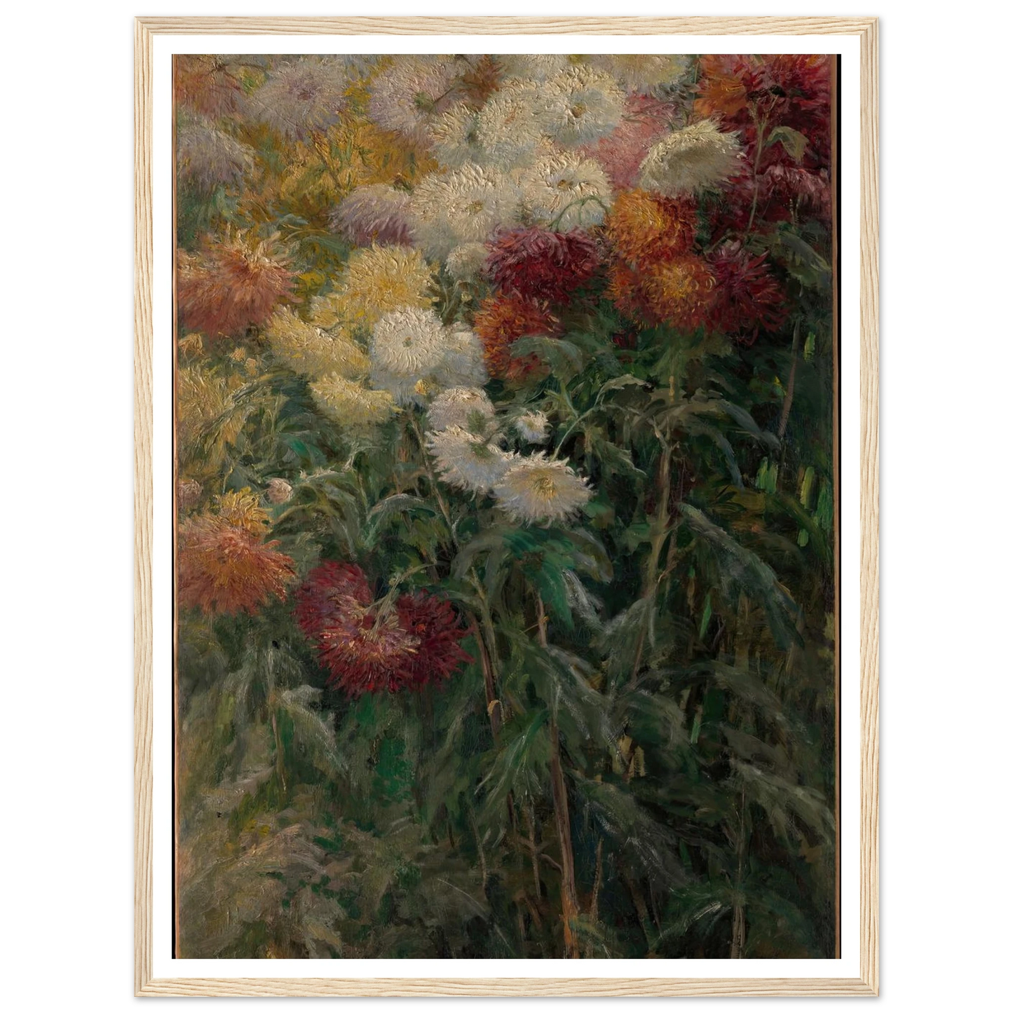 Chrysanthemums in the Garden at Petit-Gennevilliers (1893) Art Print | Gustave Caillebotte - Framed Poster - 30x40 cm / 12x16″ - Black frame