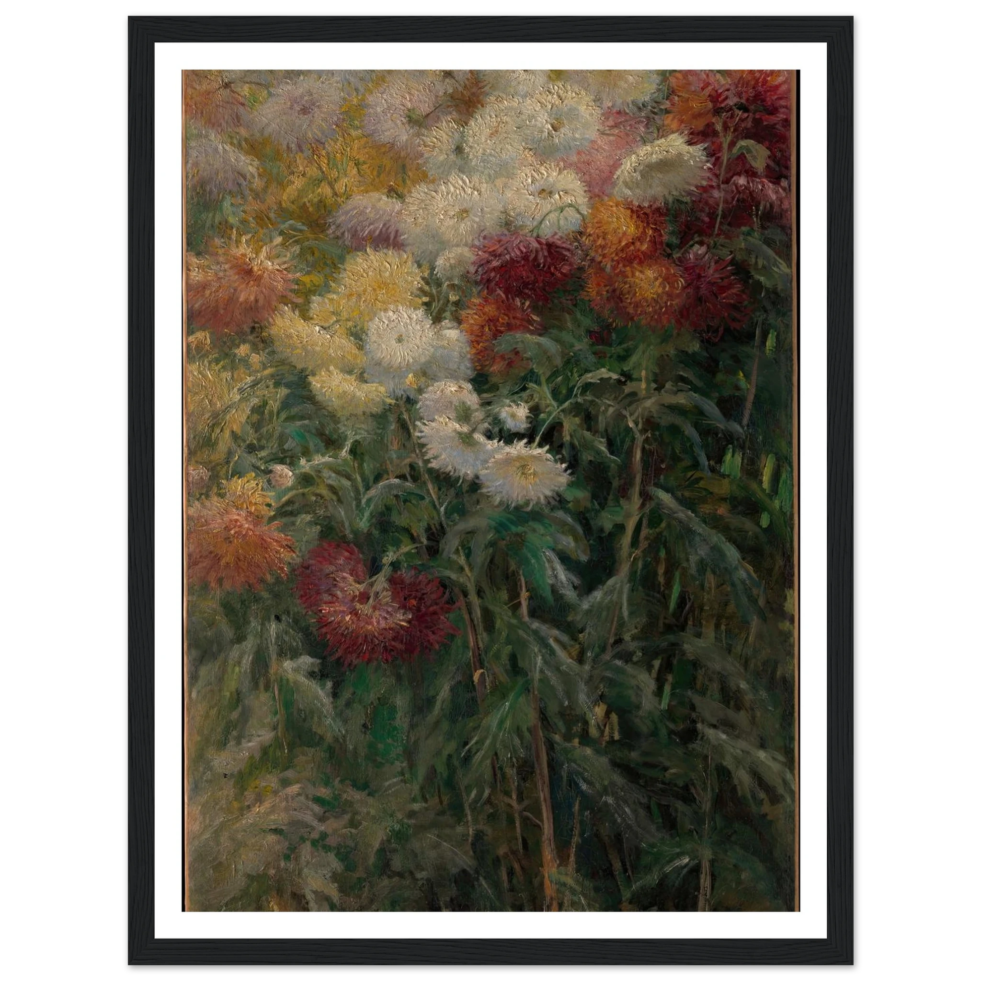 Chrysanthemums in the Garden at Petit-Gennevilliers (1893) Art Print | Gustave Caillebotte - Framed Poster - 30x40 cm / 12x16″ - Black frame