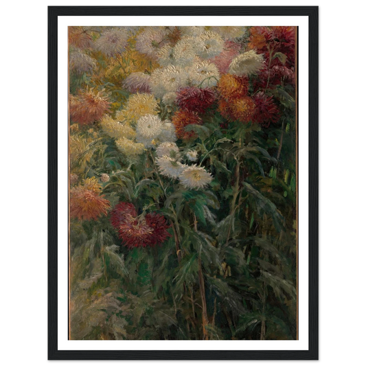 Chrysanthemums in the Garden at Petit-Gennevilliers (1893) Art Print | Gustave Caillebotte - Framed Poster - 30x40 cm / 12x16″ - Black frame