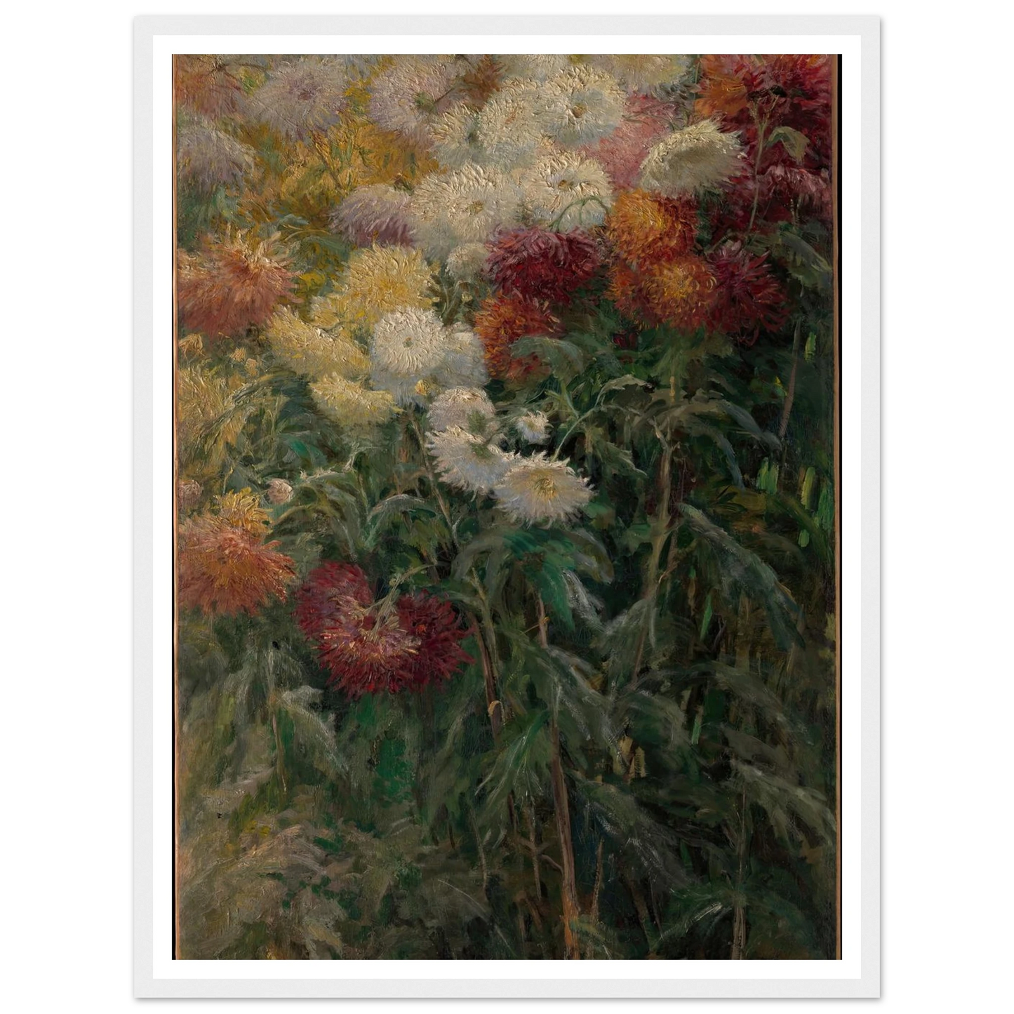 Chrysanthemums in the Garden at Petit-Gennevilliers (1893) Art Print | Gustave Caillebotte - Framed Poster - 30x40 cm / 12x16″ - Black frame