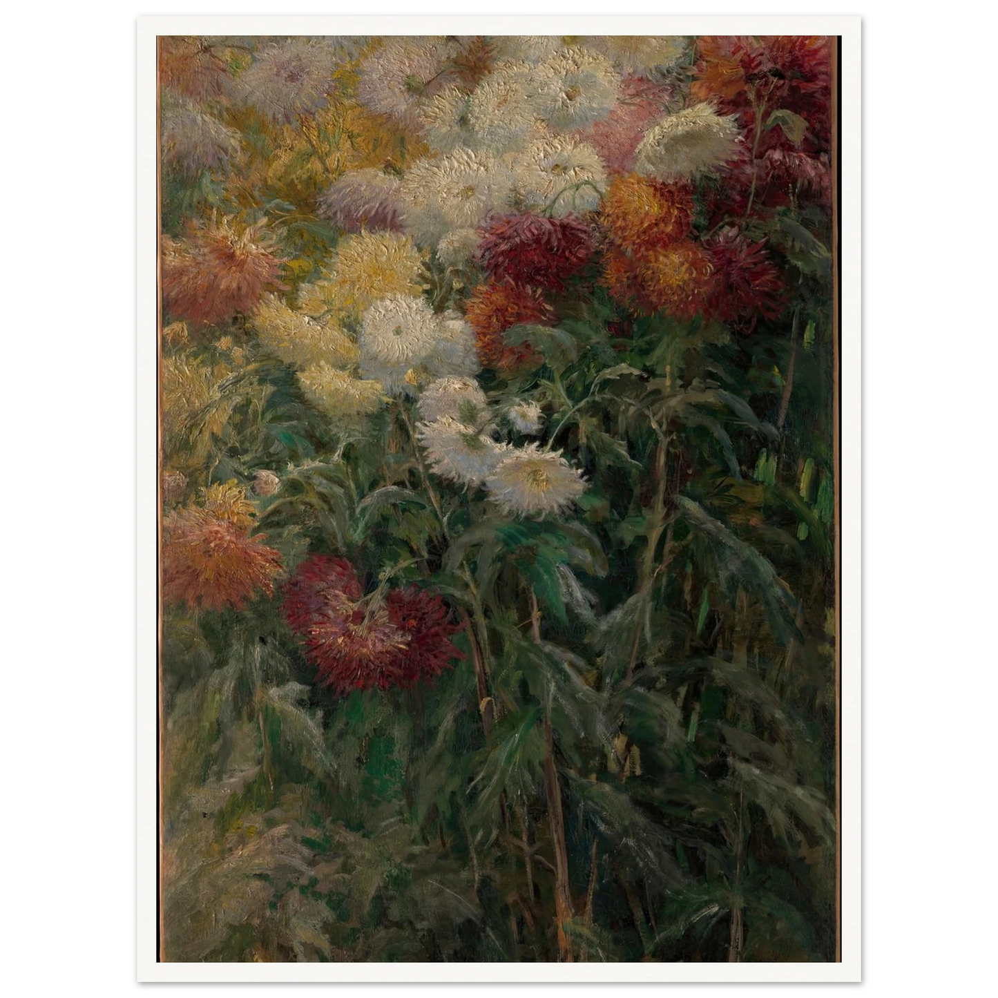 Chrysanthemums in the Garden at Petit-Gennevilliers (1893) Art Print | Gustave Caillebotte - Framed Poster - 30x40 cm / 12x16″ - Black frame