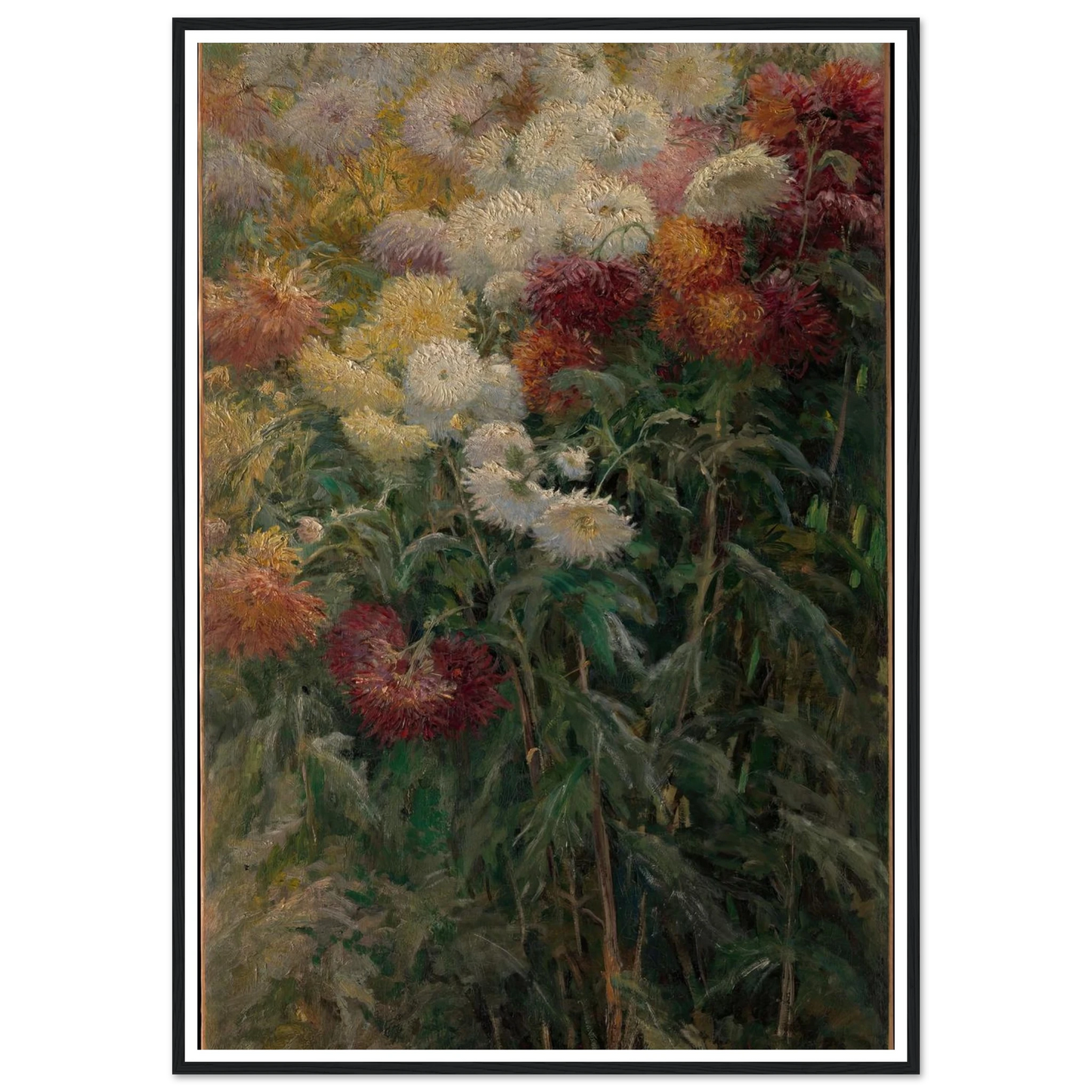 Chrysanthemums in the Garden at Petit-Gennevilliers (1893) Art Print | Gustave Caillebotte - Framed Poster - 30x40 cm / 12x16″ - Black frame