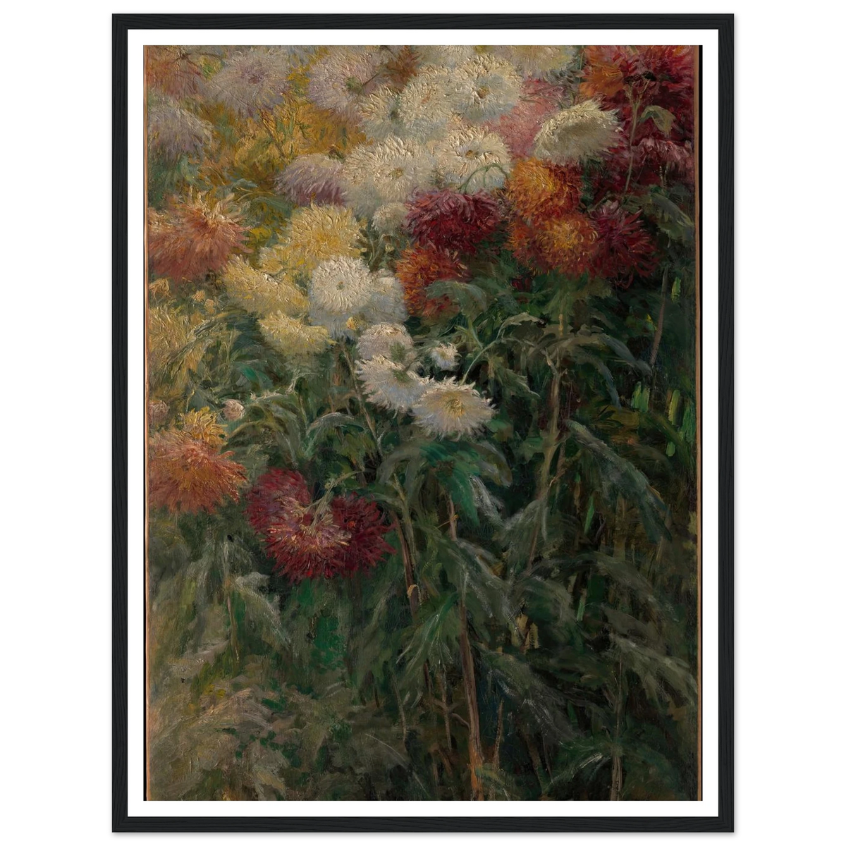 Chrysanthemums in the Garden at Petit-Gennevilliers (1893) Art Print | Gustave Caillebotte - Framed Poster - 30x40 cm / 12x16″ - Black frame