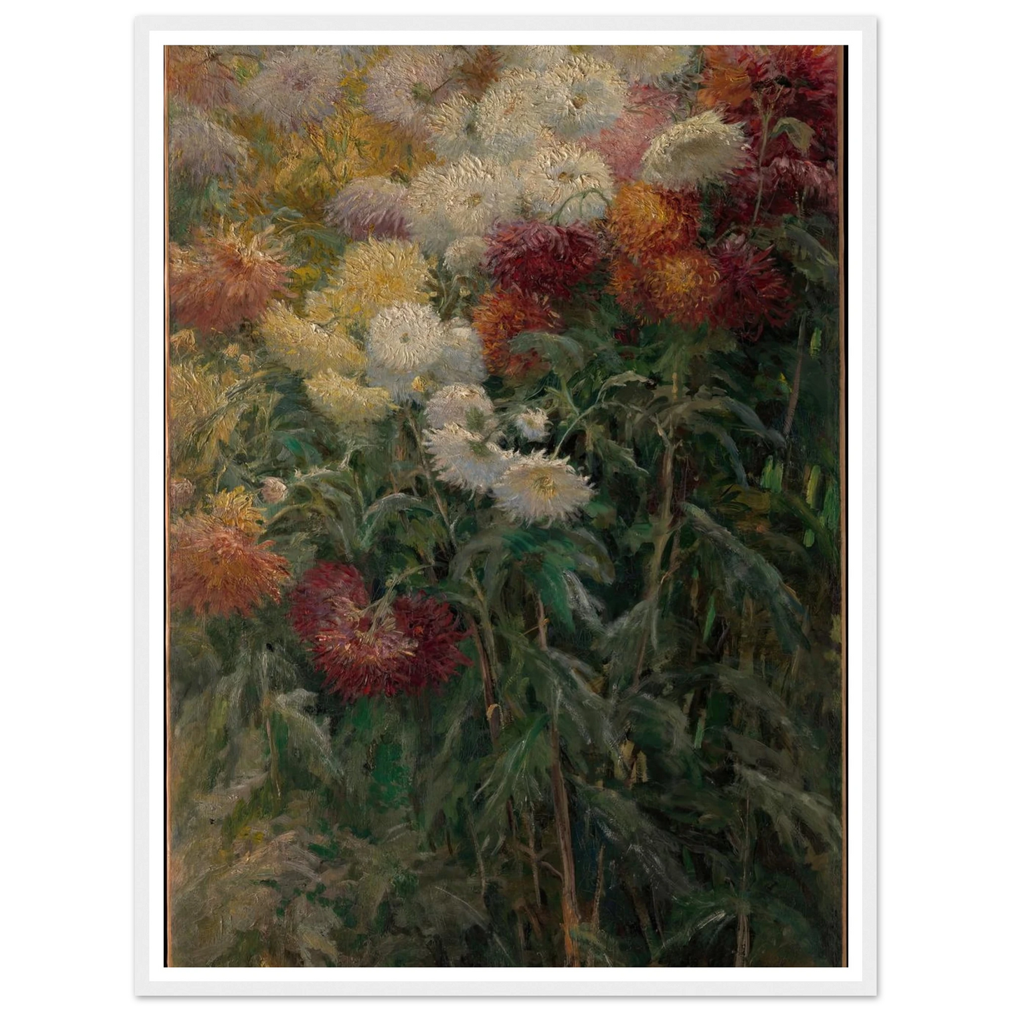 Chrysanthemums in the Garden at Petit-Gennevilliers (1893) Art Print | Gustave Caillebotte - Framed Poster - 30x40 cm / 12x16″ - Black frame