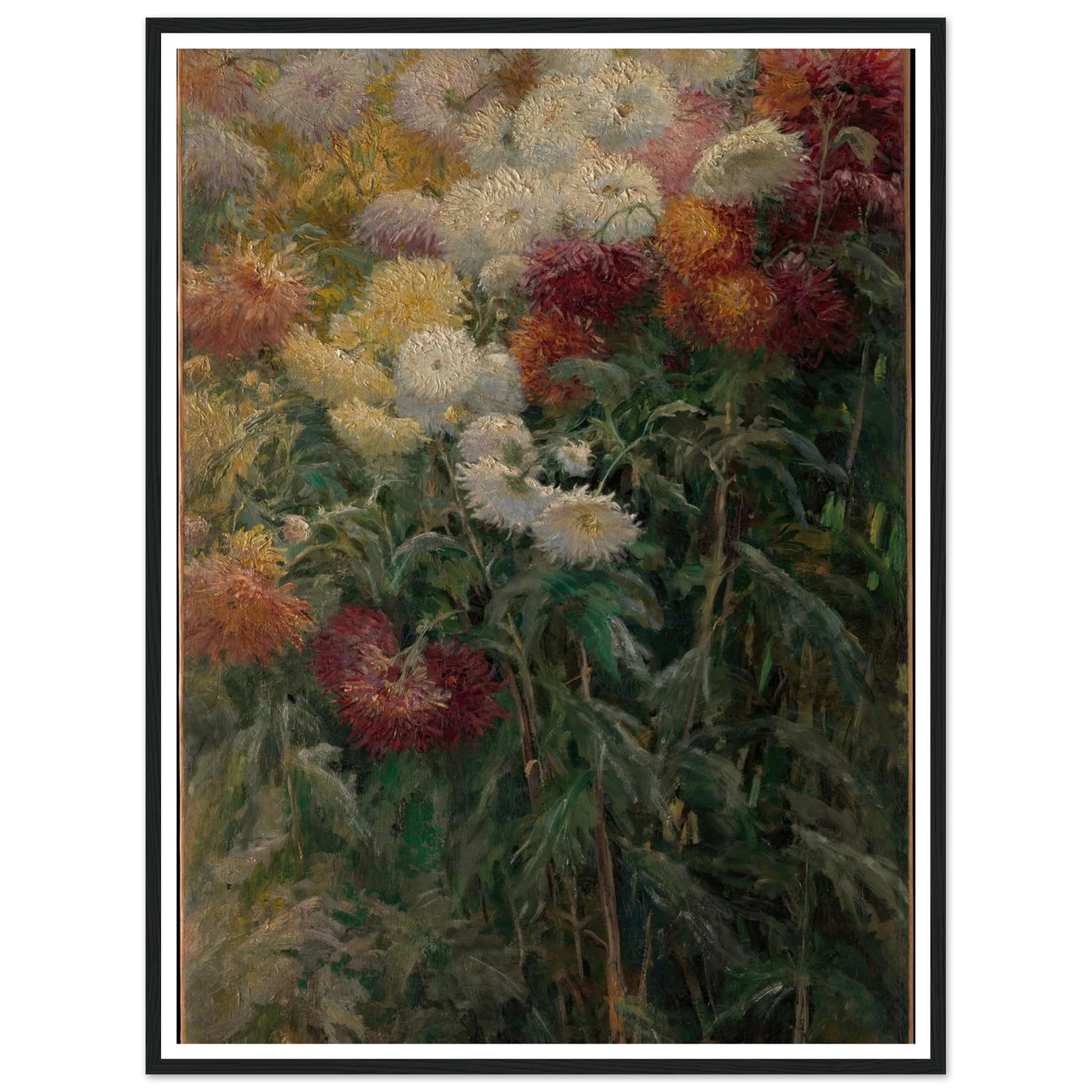 Chrysanthemums in the Garden at Petit-Gennevilliers (1893) Art Print | Gustave Caillebotte - Framed Poster - 30x40 cm / 12x16″ - Black frame
