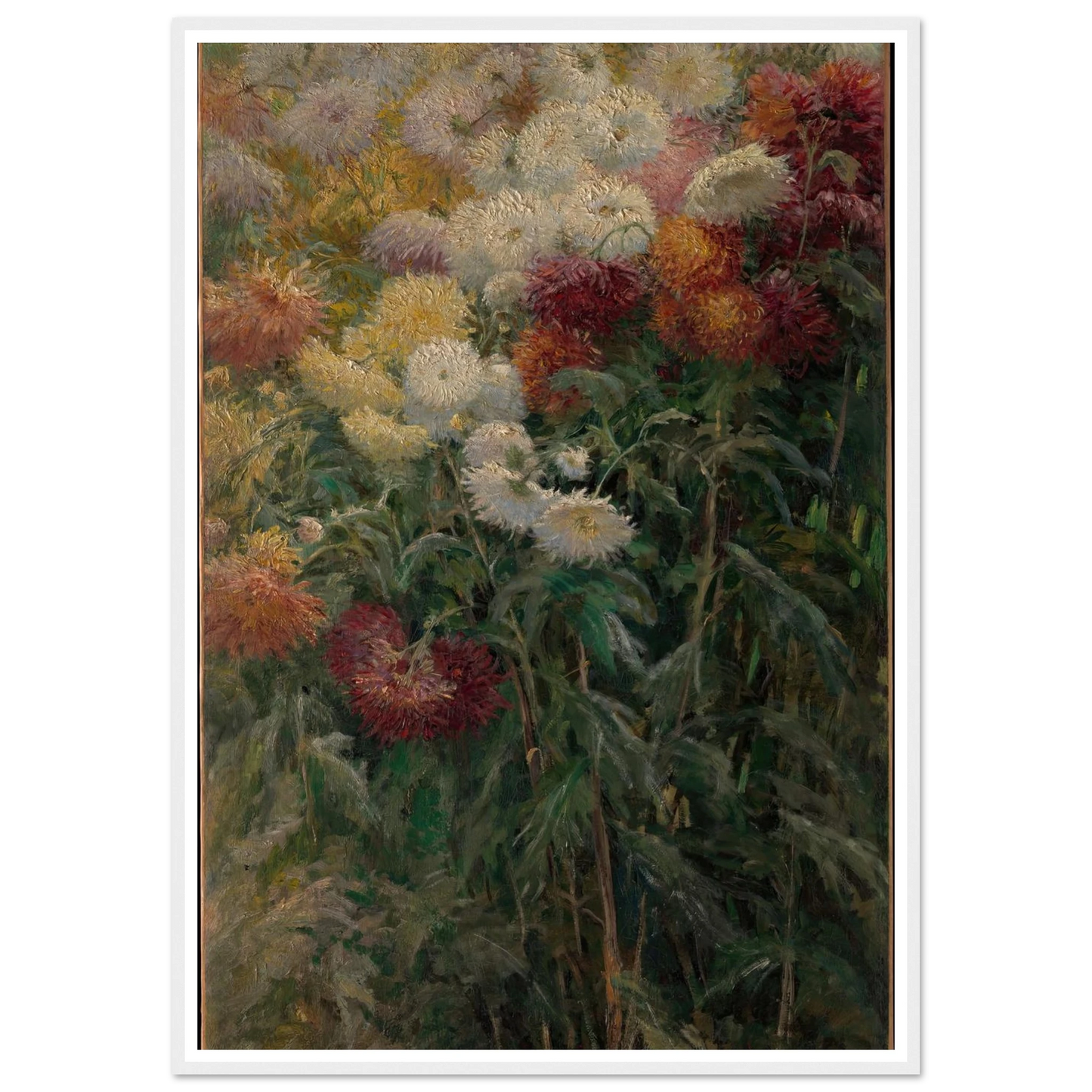 Chrysanthemums in the Garden at Petit-Gennevilliers (1893) Art Print | Gustave Caillebotte - Framed Poster - 30x40 cm / 12x16″ - Black frame