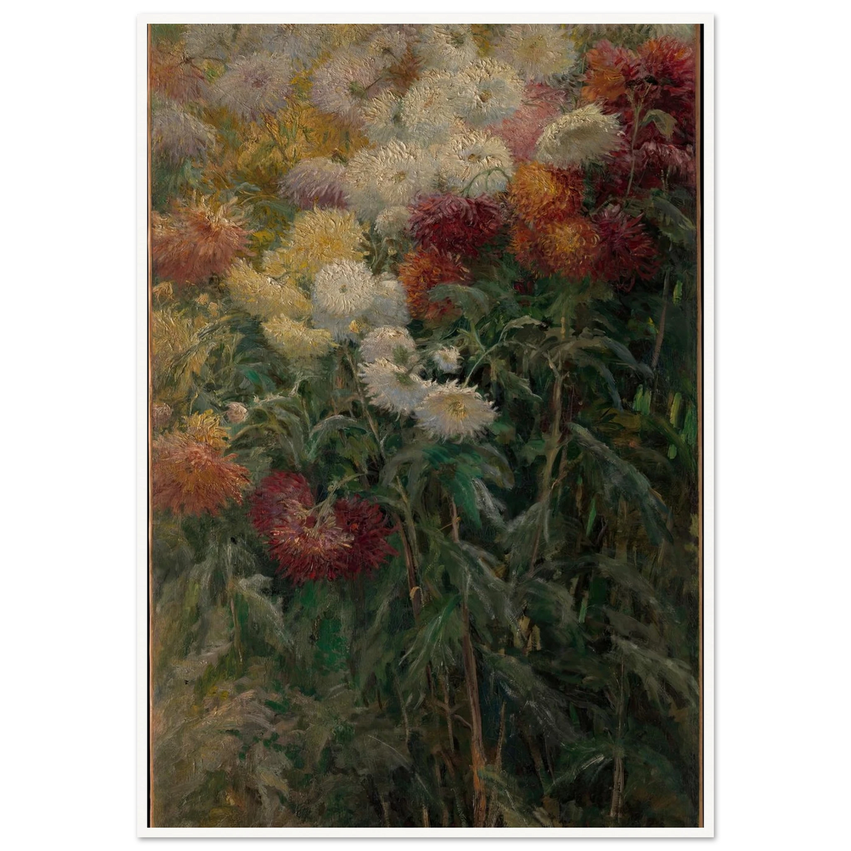 Chrysanthemums in the Garden at Petit-Gennevilliers (1893) Art Print | Gustave Caillebotte - Framed Poster - 30x40 cm / 12x16″ - Black frame