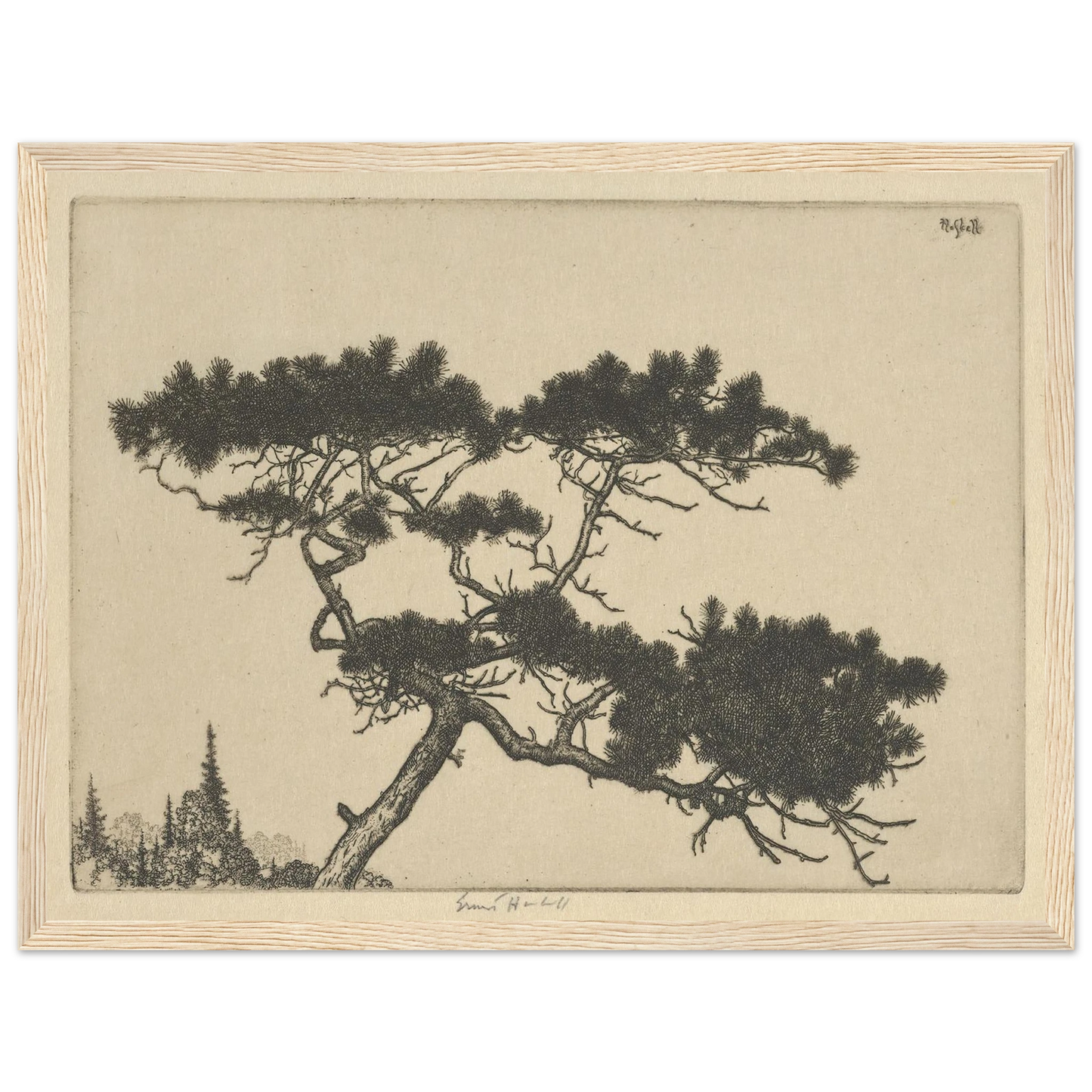 Crippled Pine (between 1900 and 1925) Art Print | Ernest Haskell - Framed Poster - 30x40 cm / 12x16″ - Black frame
