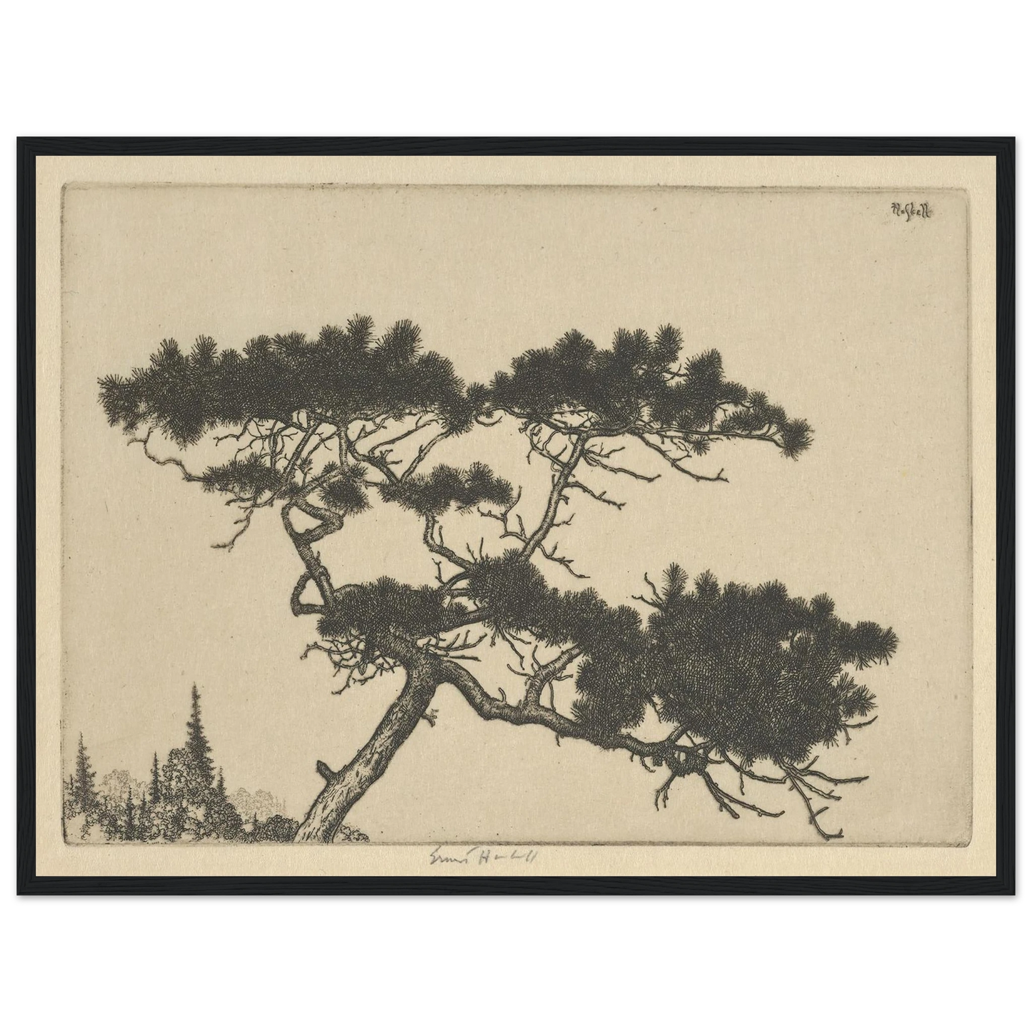 Crippled Pine (between 1900 and 1925) Art Print | Ernest Haskell - Framed Poster - 30x40 cm / 12x16″ - Black frame