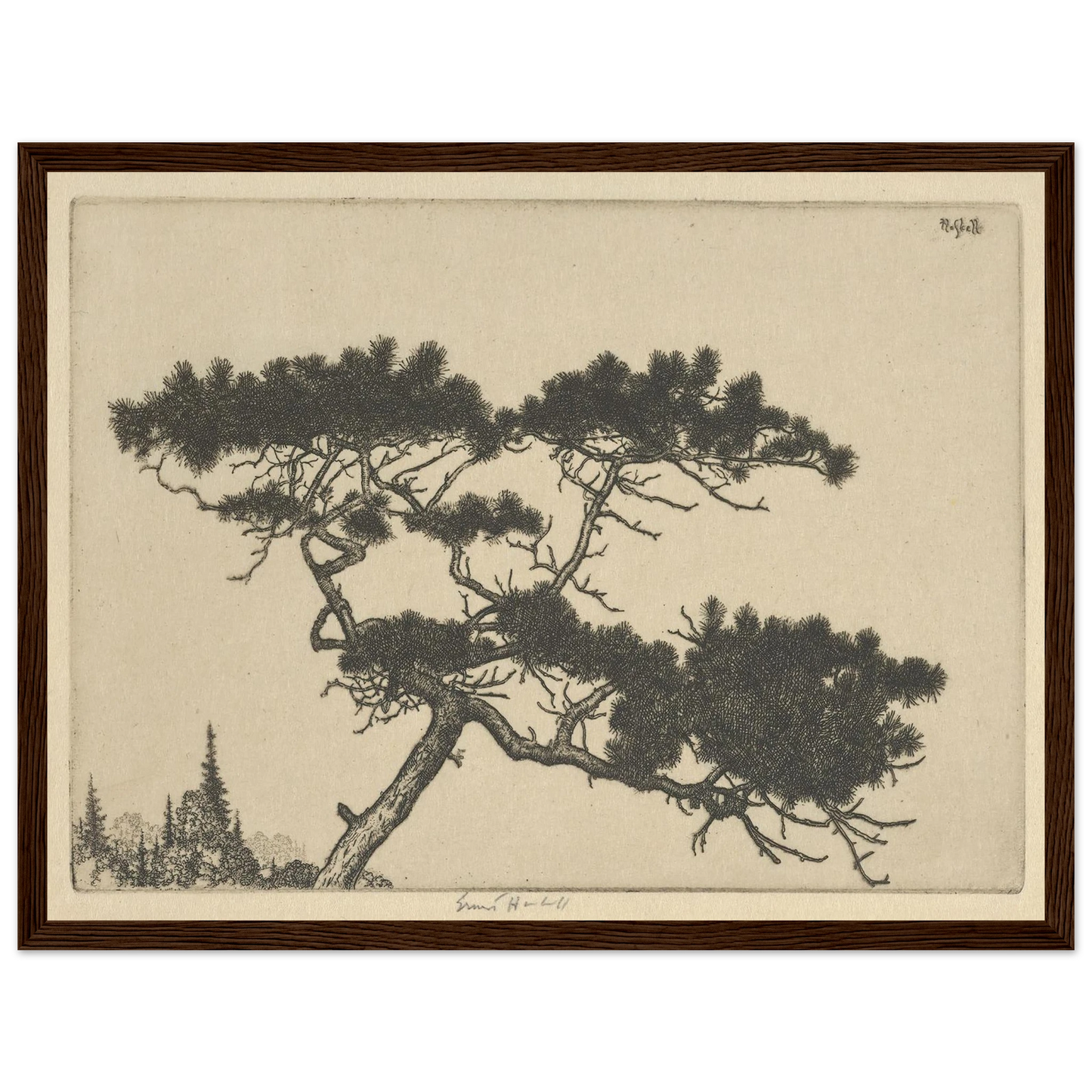 Crippled Pine (between 1900 and 1925) Art Print | Ernest Haskell - Framed Poster - 30x40 cm / 12x16″ - Black frame