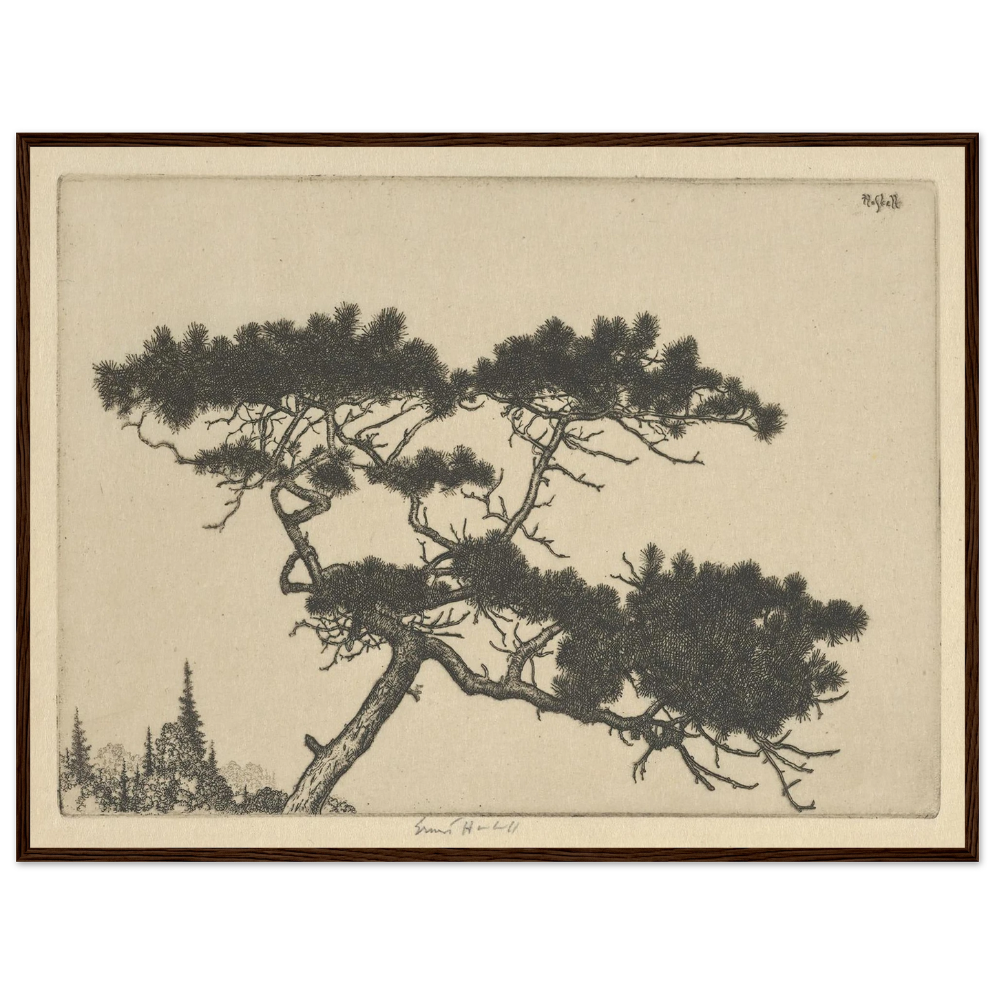 Crippled Pine (between 1900 and 1925) Art Print | Ernest Haskell - Framed Poster - 30x40 cm / 12x16″ - Black frame