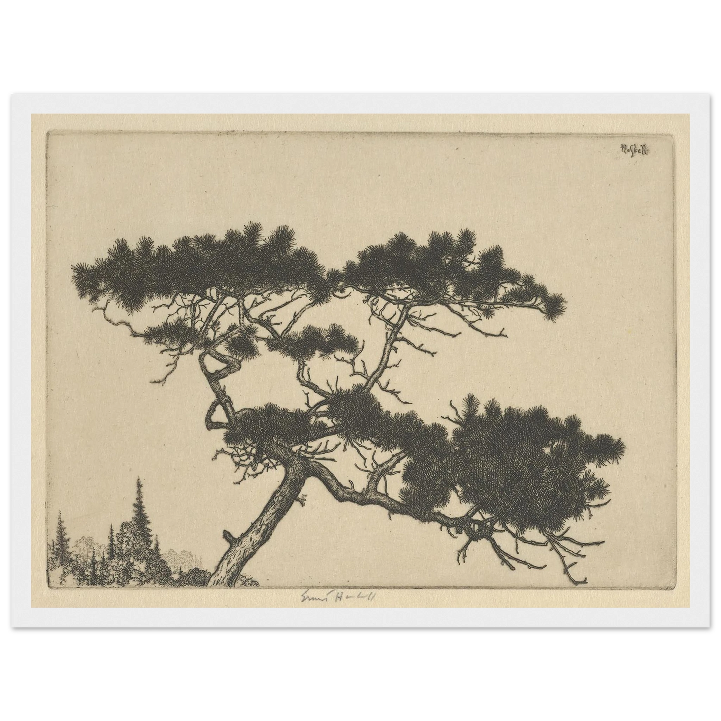Crippled Pine (between 1900 and 1925) Art Print | Ernest Haskell - Framed Poster - 30x40 cm / 12x16″ - Black frame