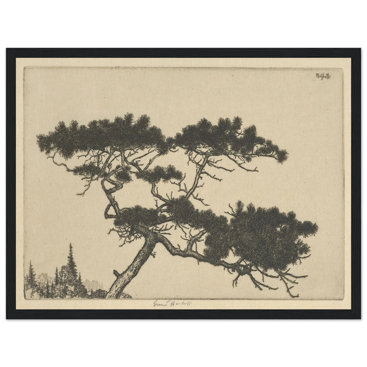 Crippled Pine (between 1900 and 1925) Art Print | Ernest Haskell - Framed Poster - 30x40 cm / 12x16″ - Black frame