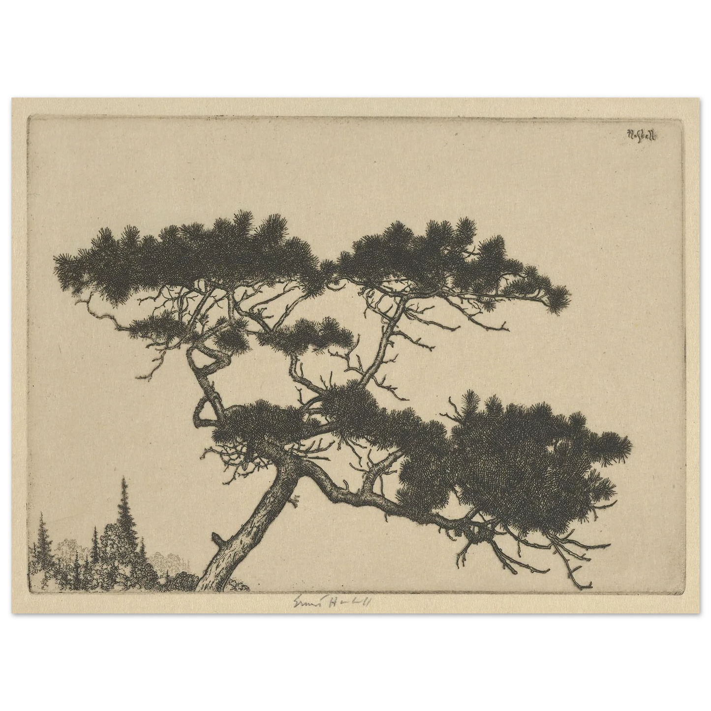 Crippled Pine (between 1900 and 1925) Art Print | Ernest Haskell - Framed Poster - 30x40 cm / 12x16″ - Black frame