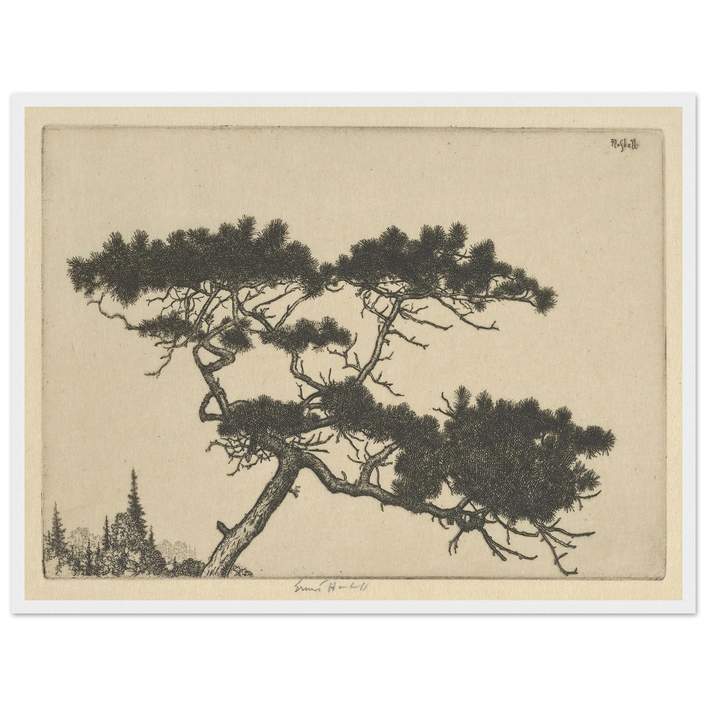 Crippled Pine (between 1900 and 1925) Art Print | Ernest Haskell - Framed Poster - 30x40 cm / 12x16″ - Black frame