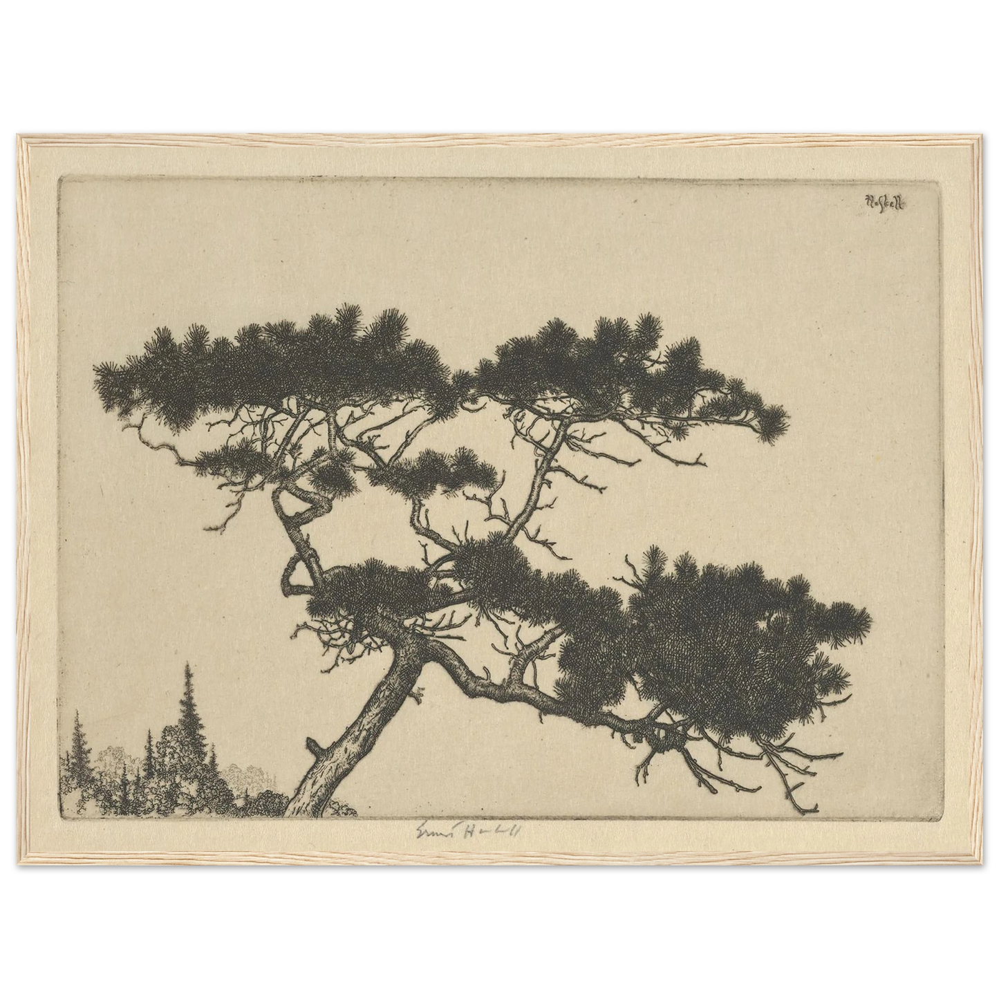 Crippled Pine (between 1900 and 1925) Art Print | Ernest Haskell - Framed Poster - 30x40 cm / 12x16″ - Black frame