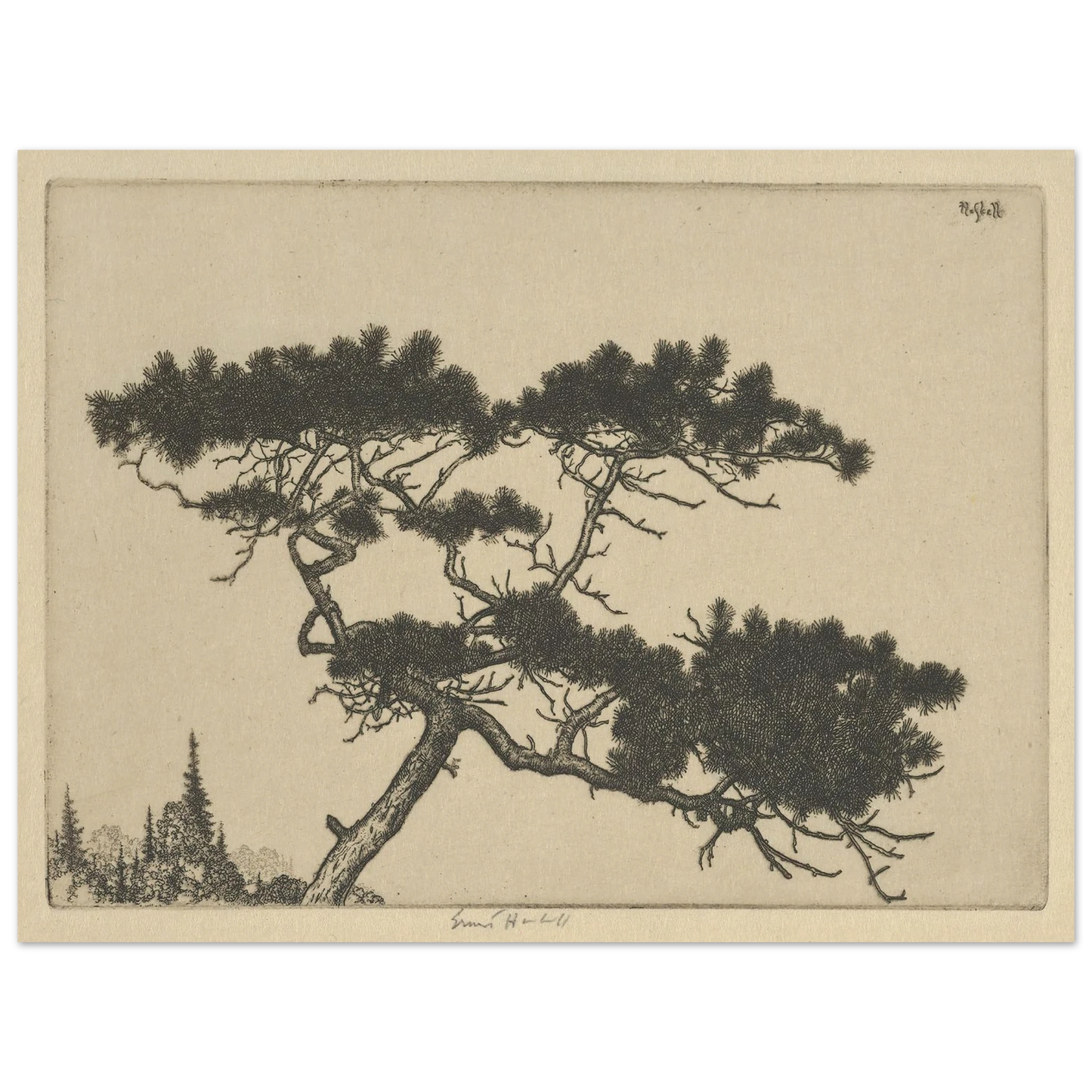 Crippled Pine (between 1900 and 1925) Art Print | Ernest Haskell - Framed Poster - 30x40 cm / 12x16″ - Black frame