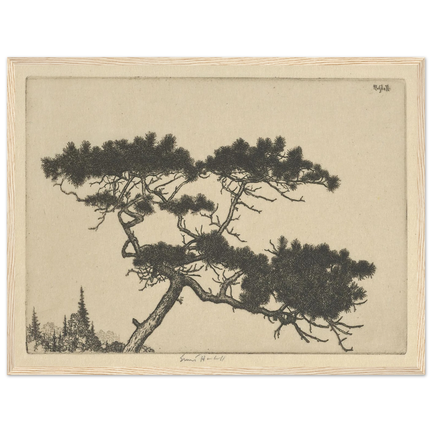 Crippled Pine (between 1900 and 1925) Art Print | Ernest Haskell - Framed Poster - 30x40 cm / 12x16″ - Black frame