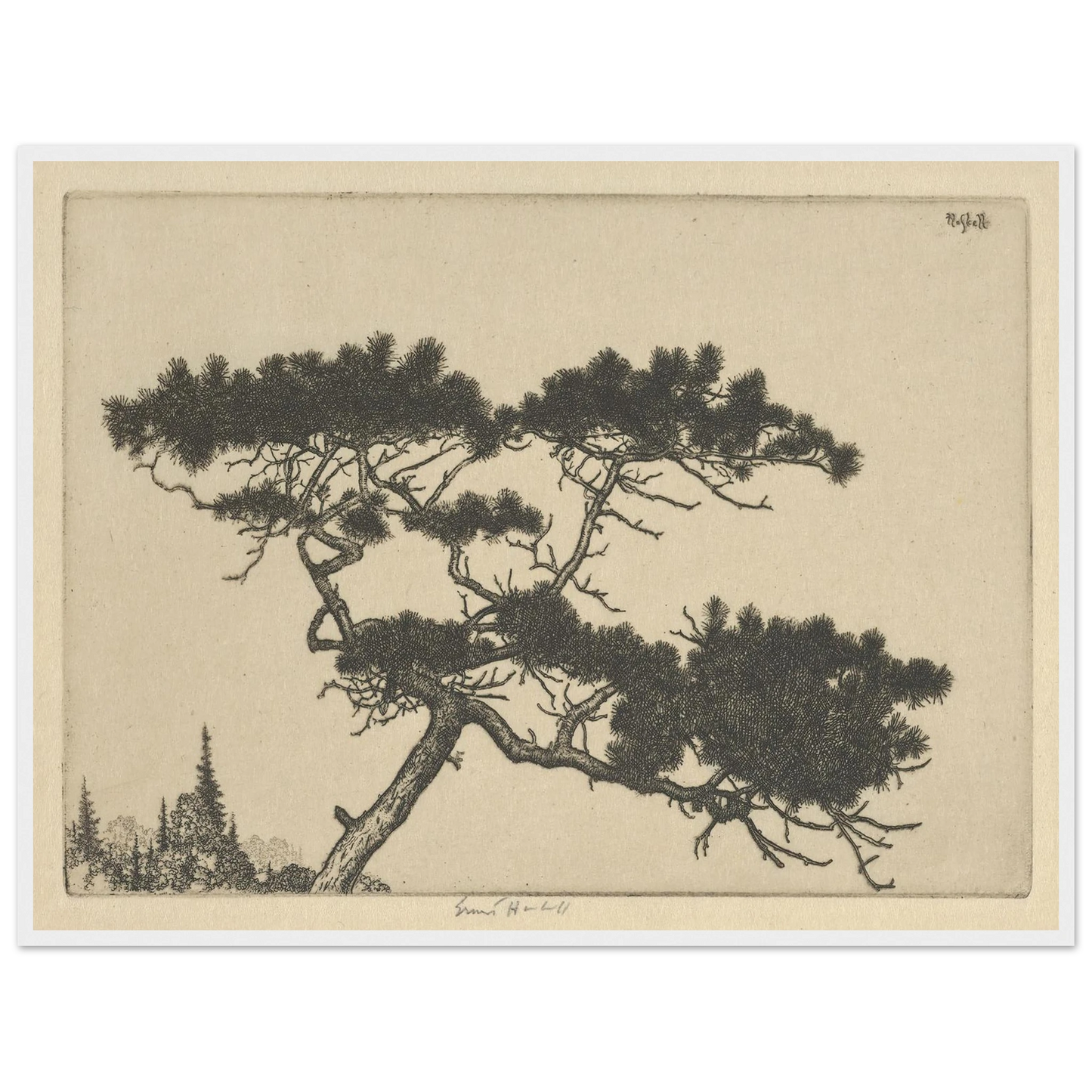 Crippled Pine (between 1900 and 1925) Art Print | Ernest Haskell - Framed Poster - 30x40 cm / 12x16″ - Black frame